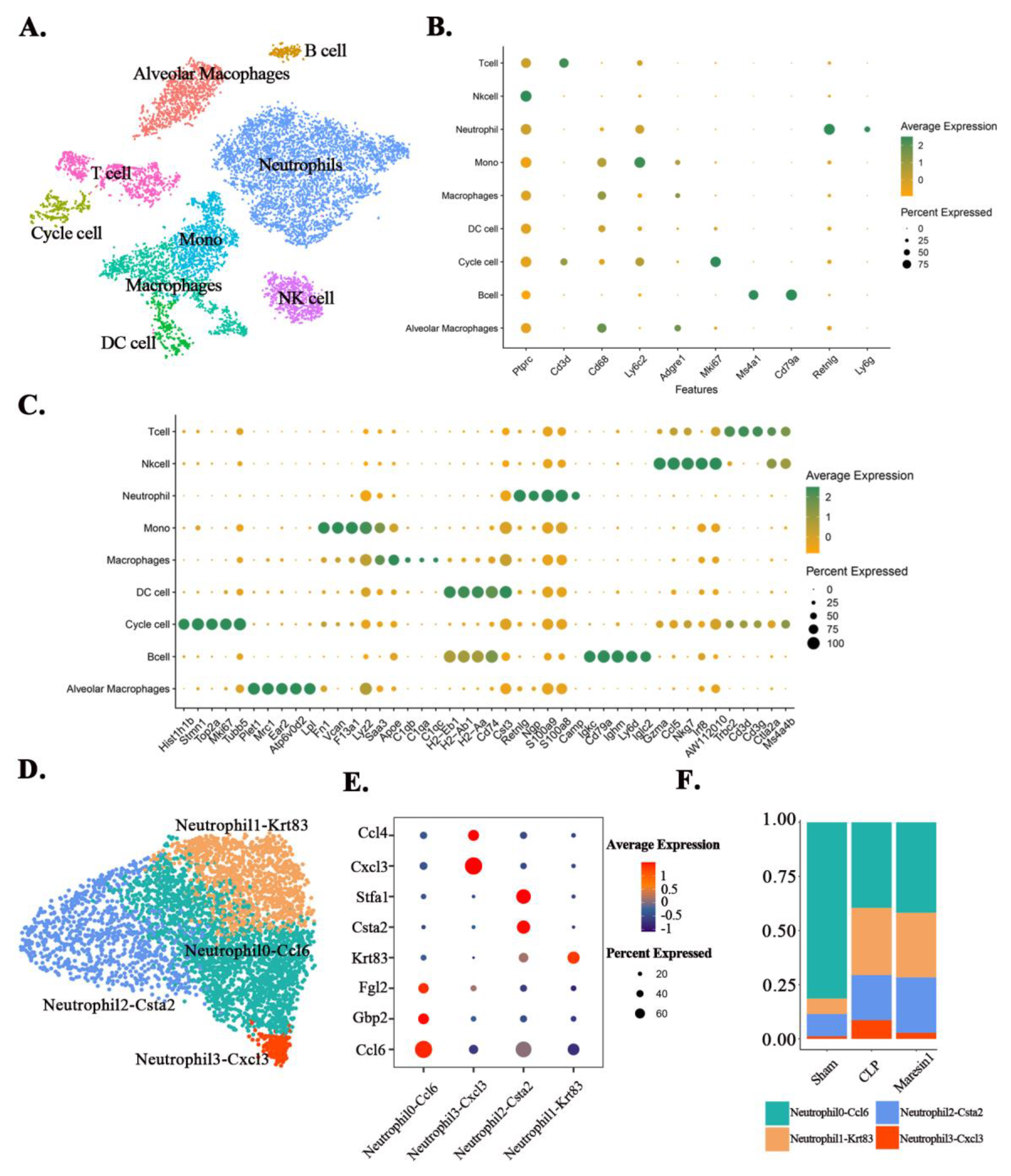 Cells 11 03733 g002 Cells 11 03733 g002