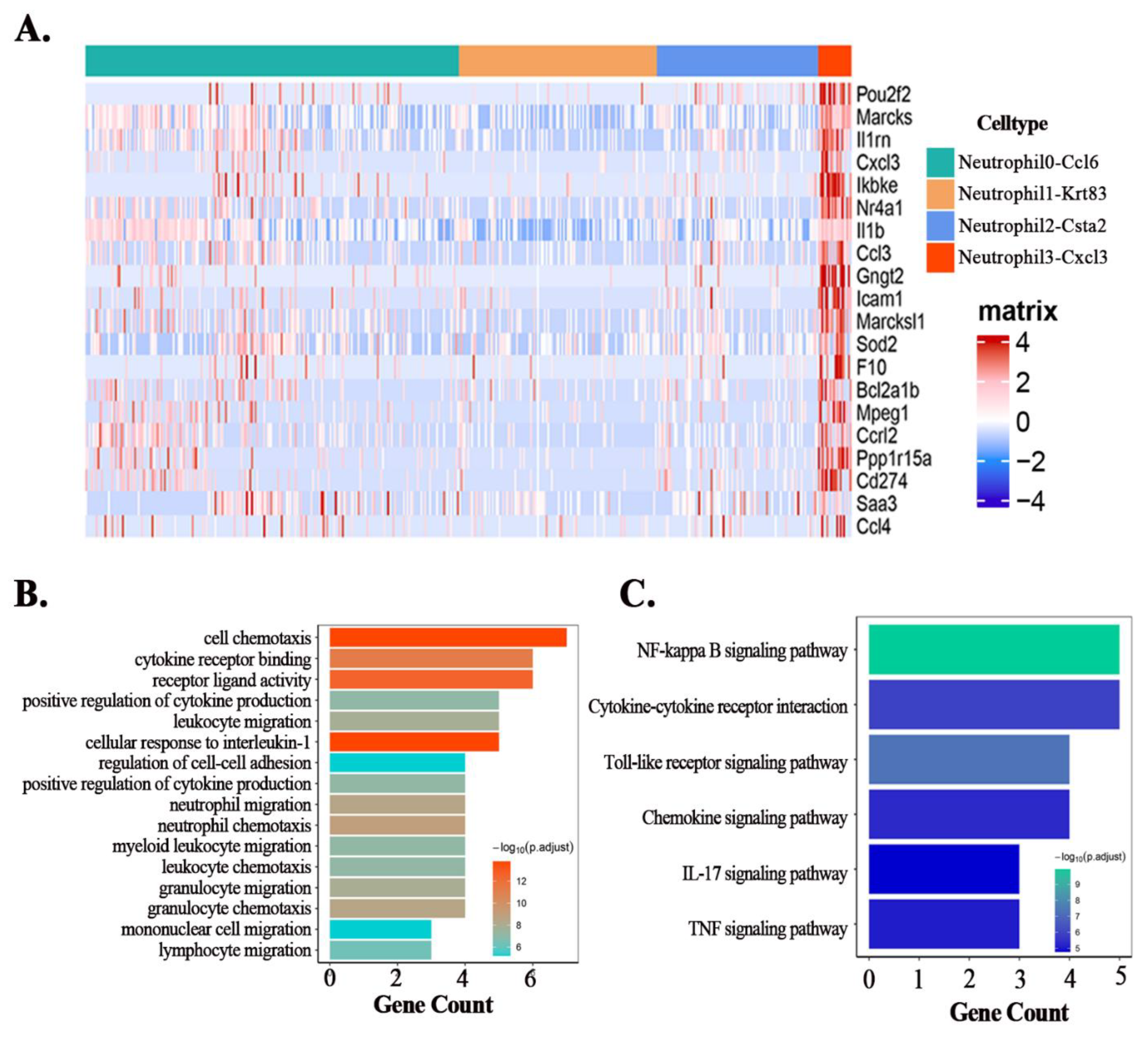 Cells 11 03733 g003 Cells 11 03733 g003