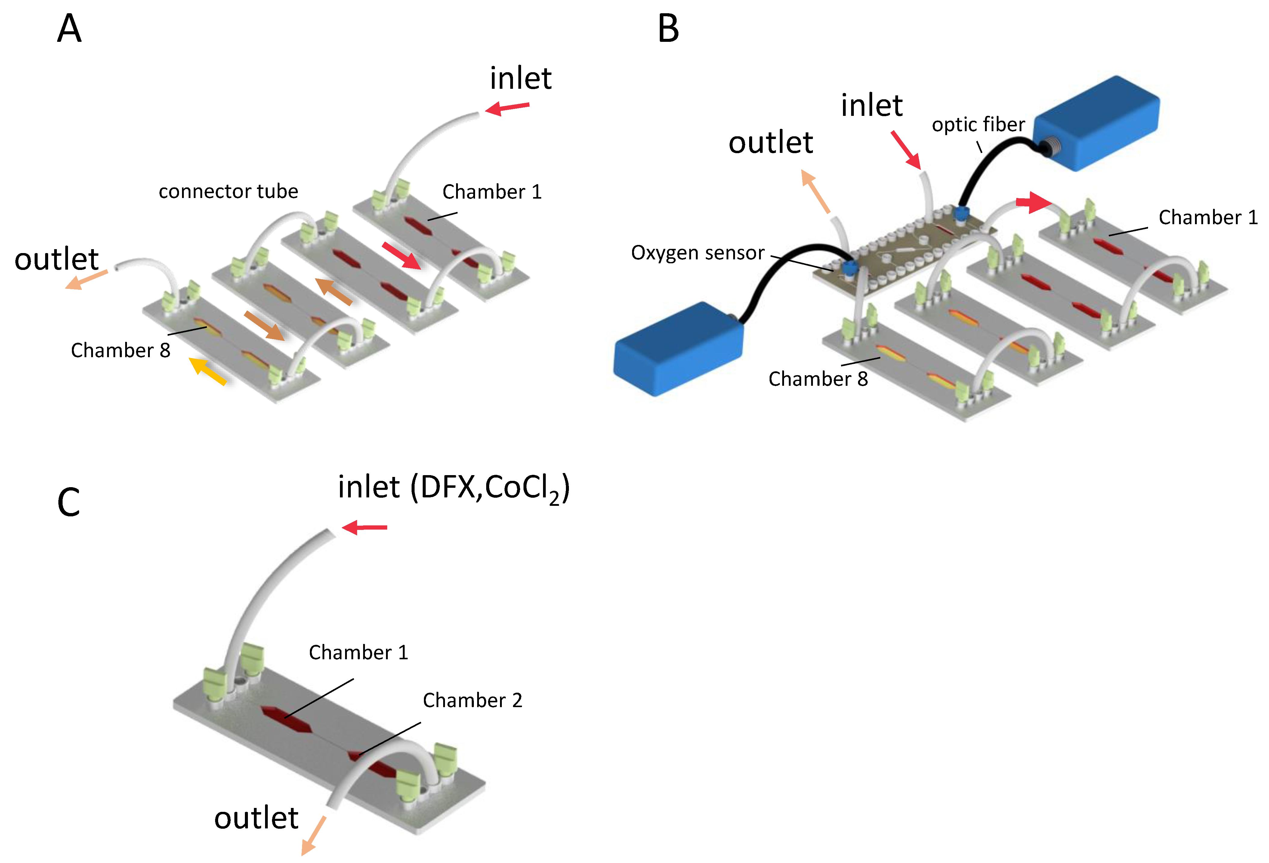 Cells 11 03734 g001 Cells 11 03734 g001