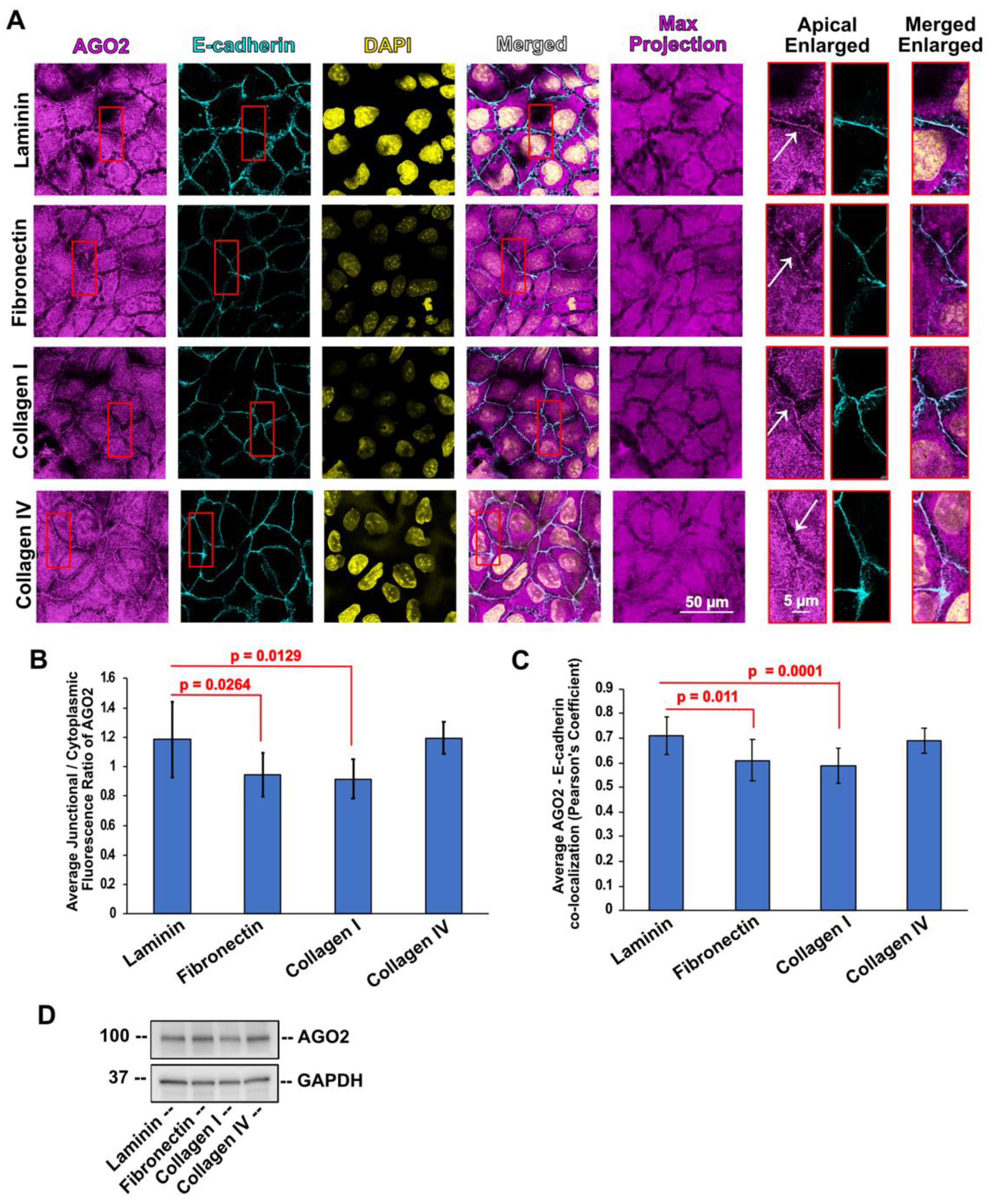 Cells 11 03740 g003 Cells 11 03740 g003
