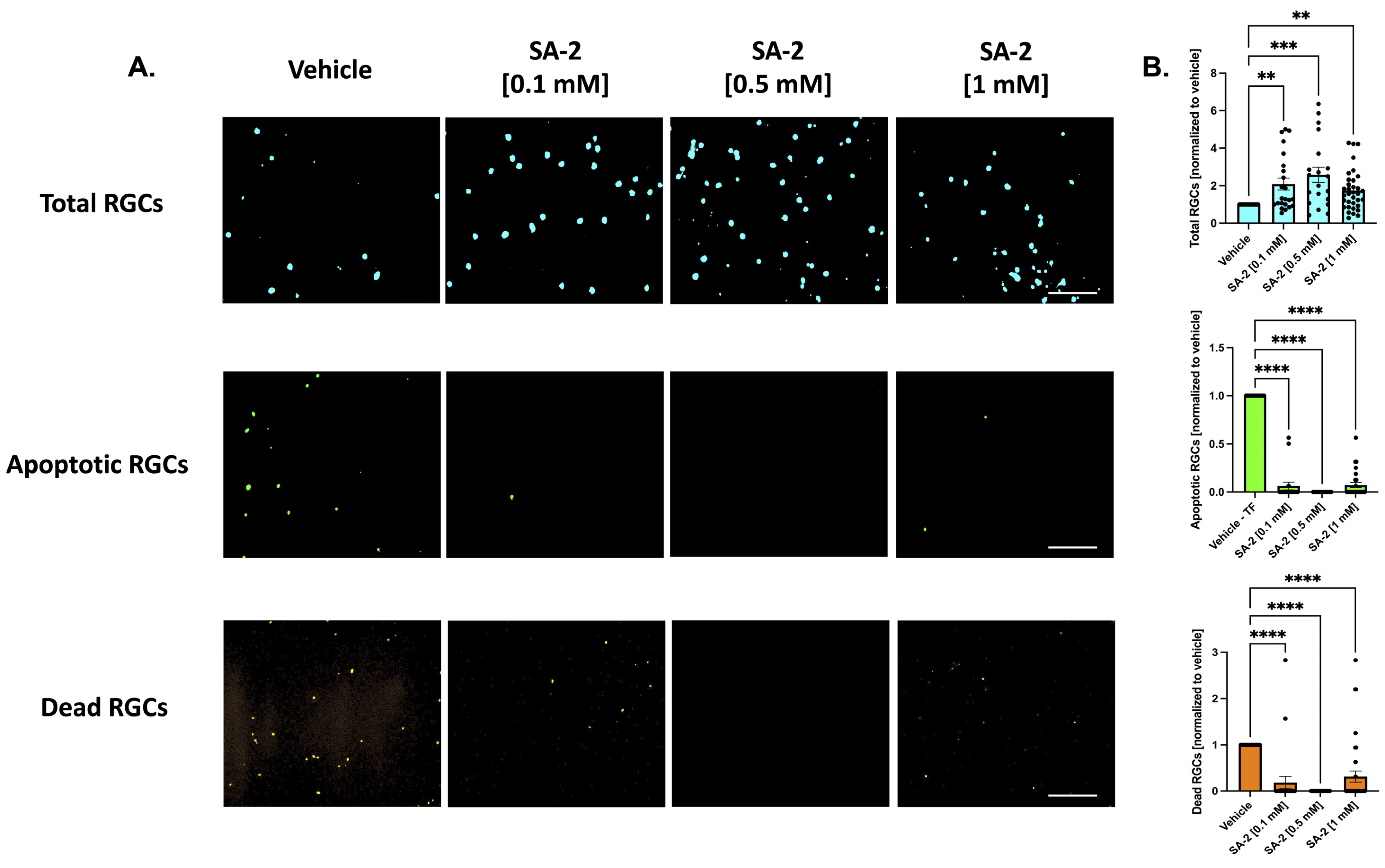 Cells 11 03741 g002 Cells 11 03741 g002