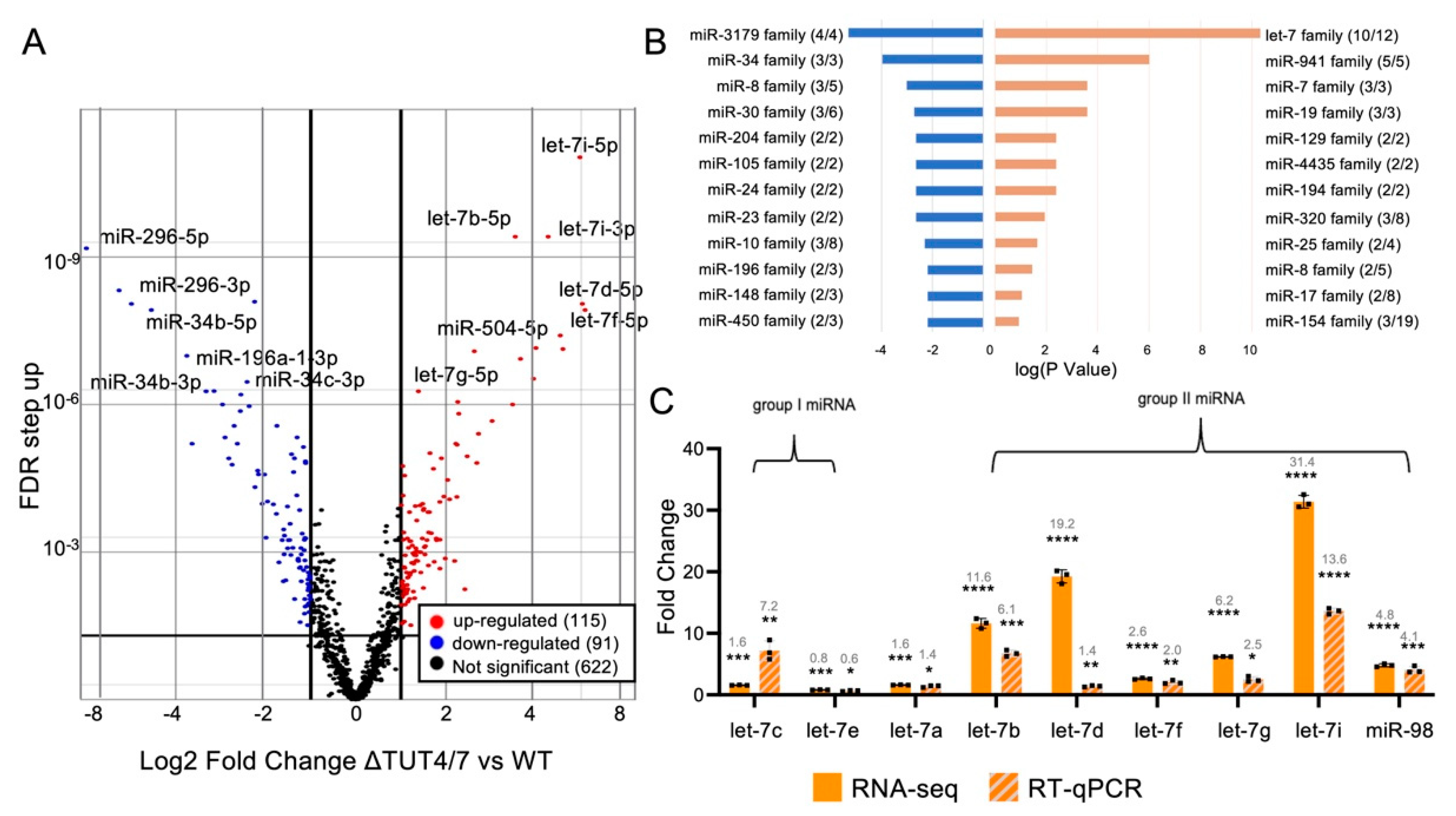 Cells 11 03742 g002 Cells 11 03742 g002