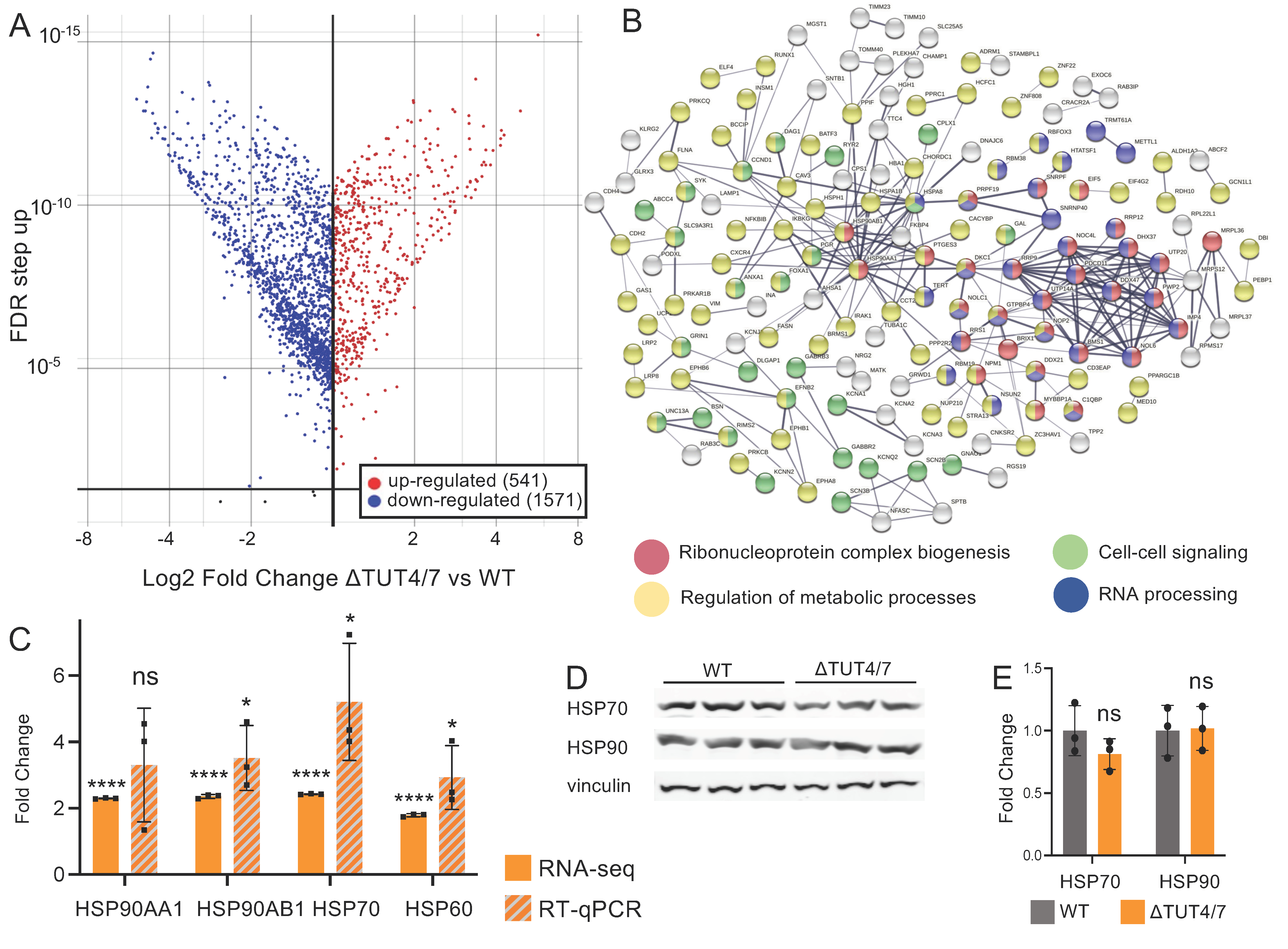 Cells 11 03742 g003 Cells 11 03742 g003