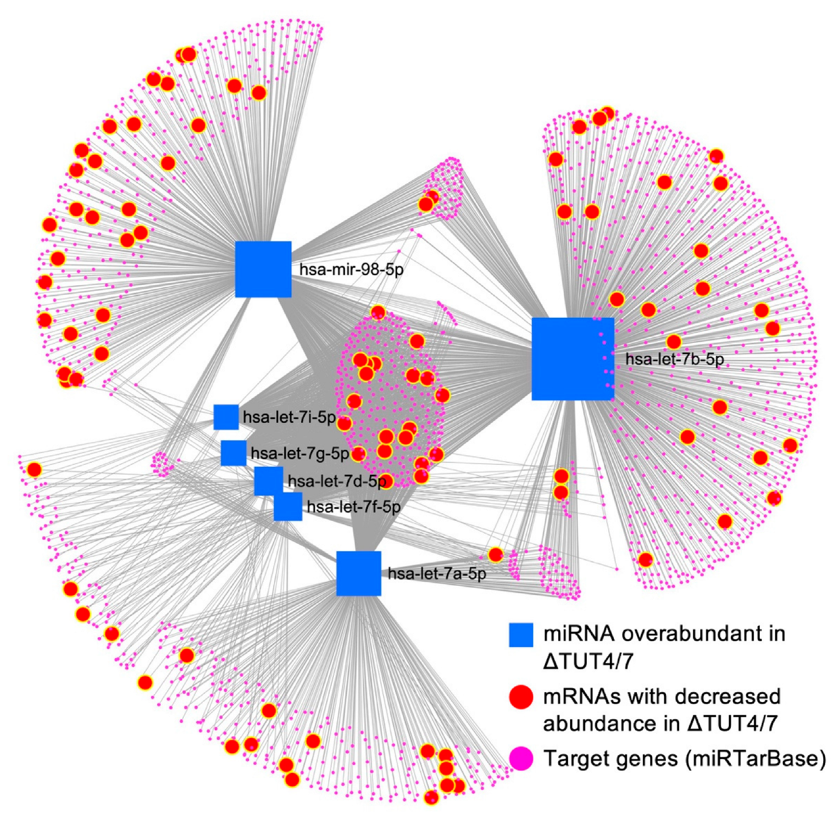 Cells 11 03742 g005 Cells 11 03742 g005