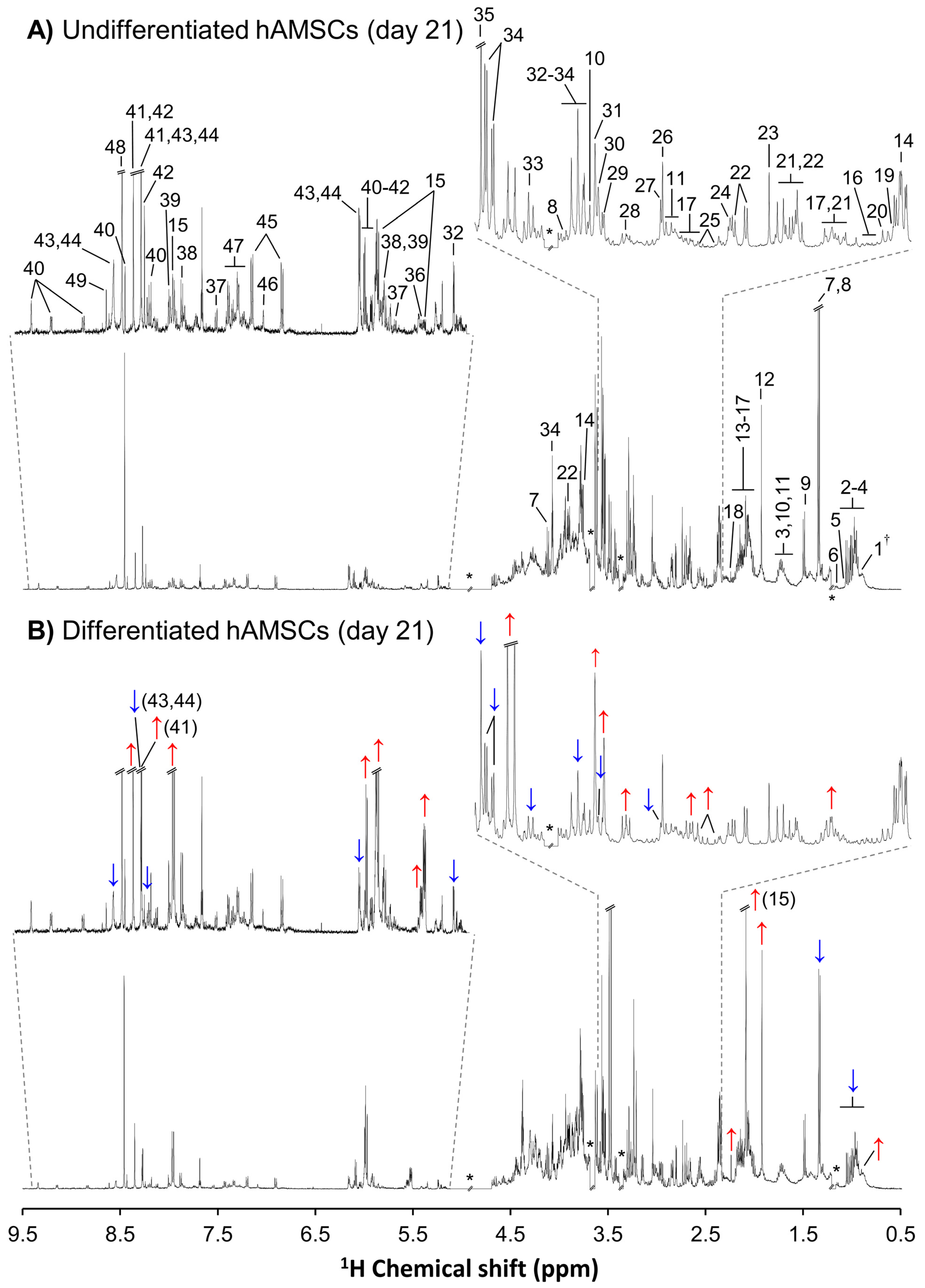 Cells 11 03745 g001 Cells 11 03745 g001