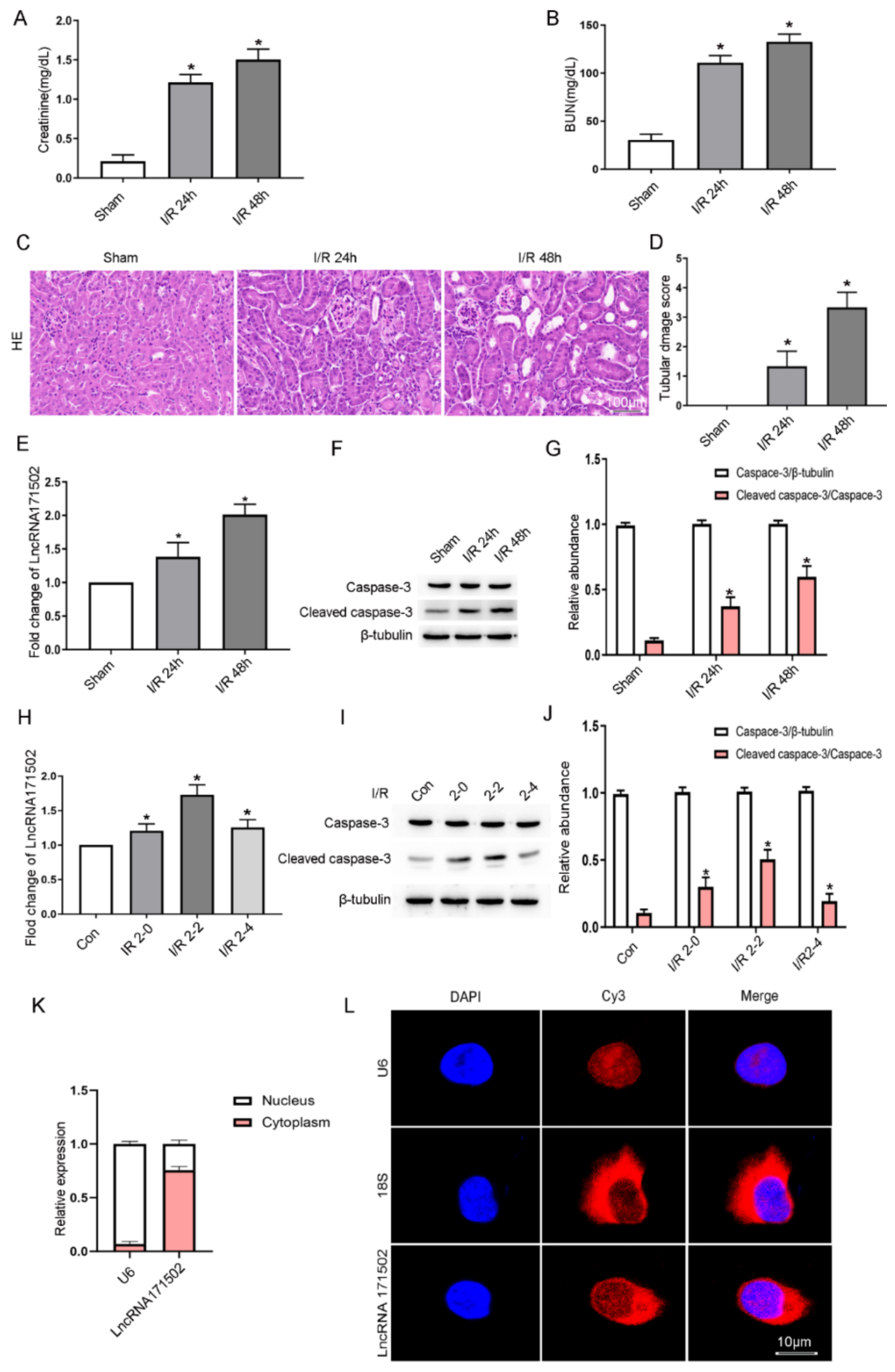 Cells 11 03747 g001 Cells 11 03747 g001