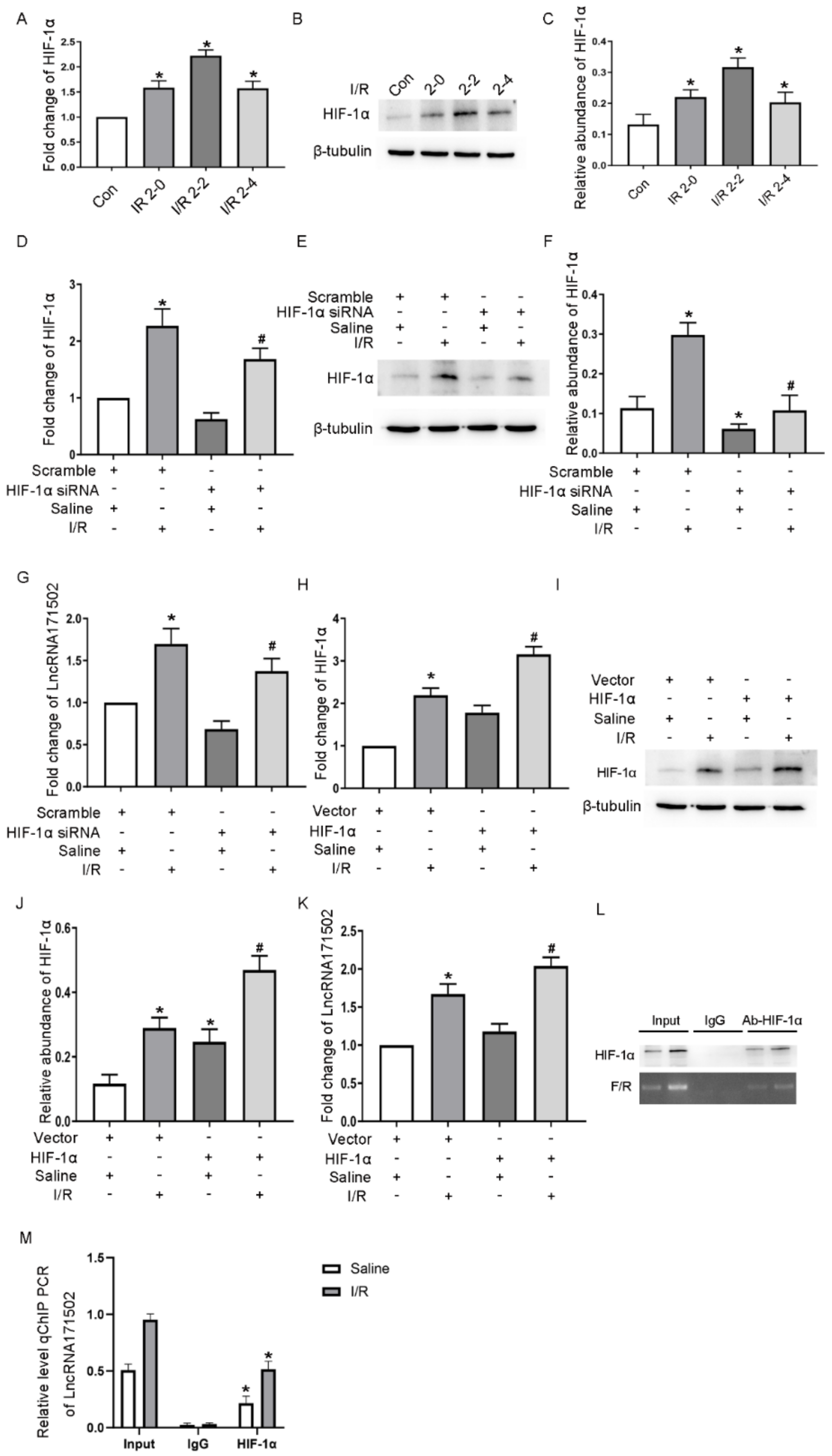 Cells 11 03747 g002 Cells 11 03747 g002