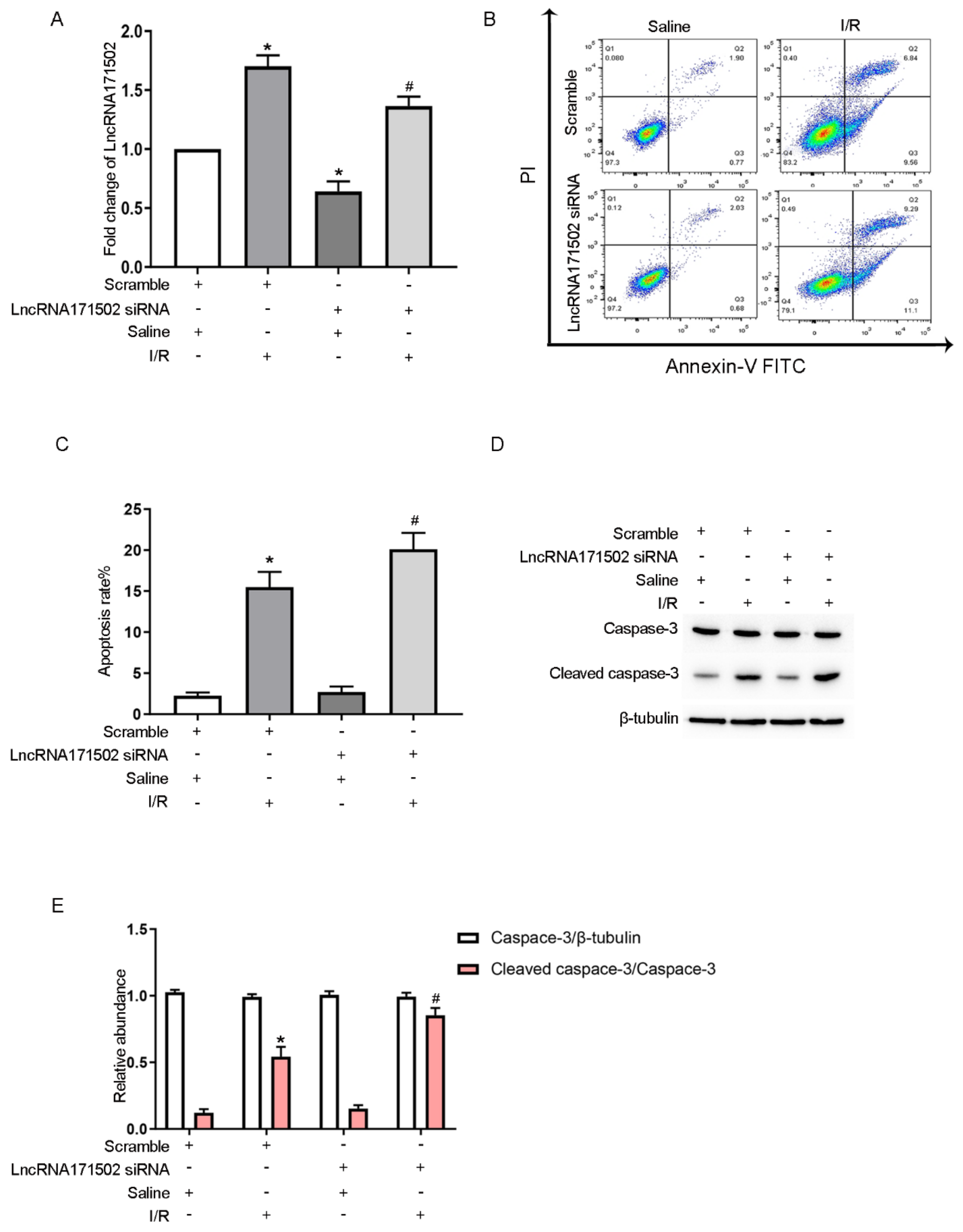 Cells 11 03747 g003 Cells 11 03747 g003