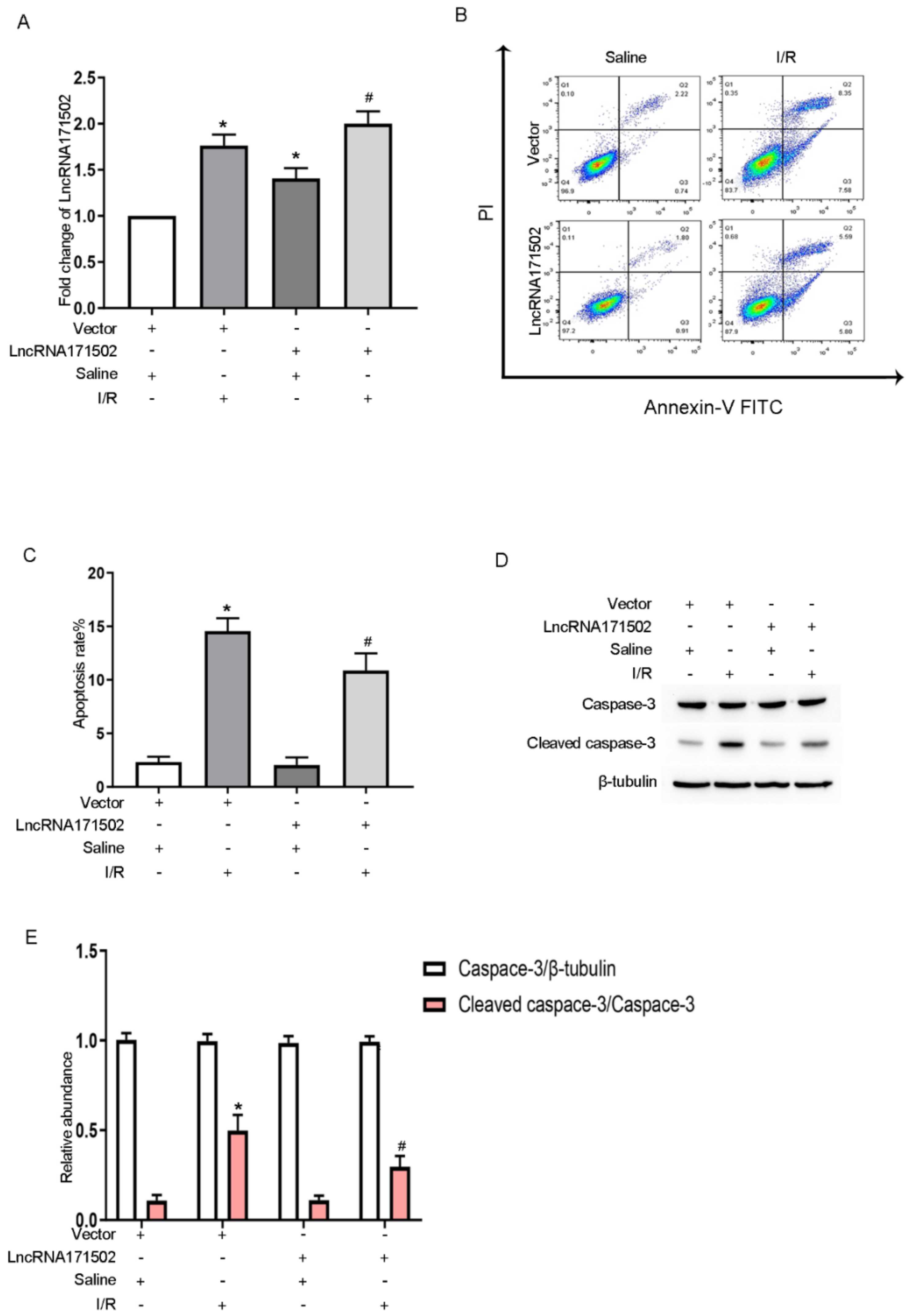 Cells 11 03747 g004 Cells 11 03747 g004