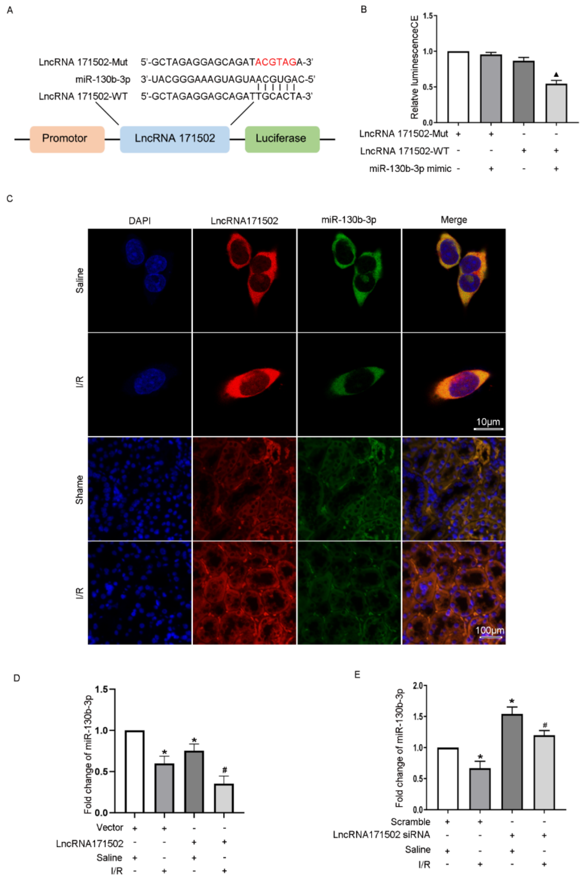 Cells 11 03747 g005 Cells 11 03747 g005
