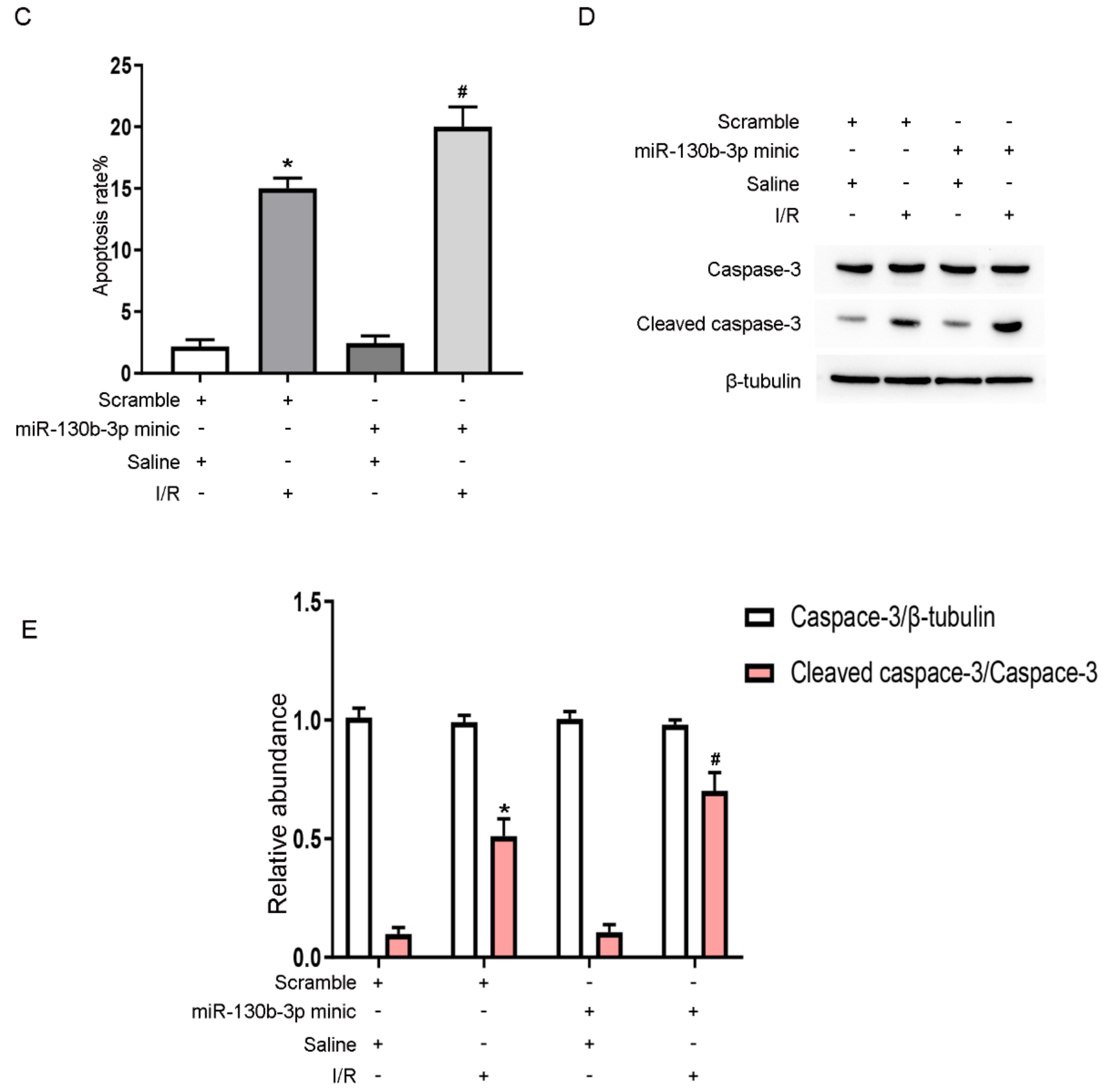Cells 11 03747 g006b Cells 11 03747 g006b