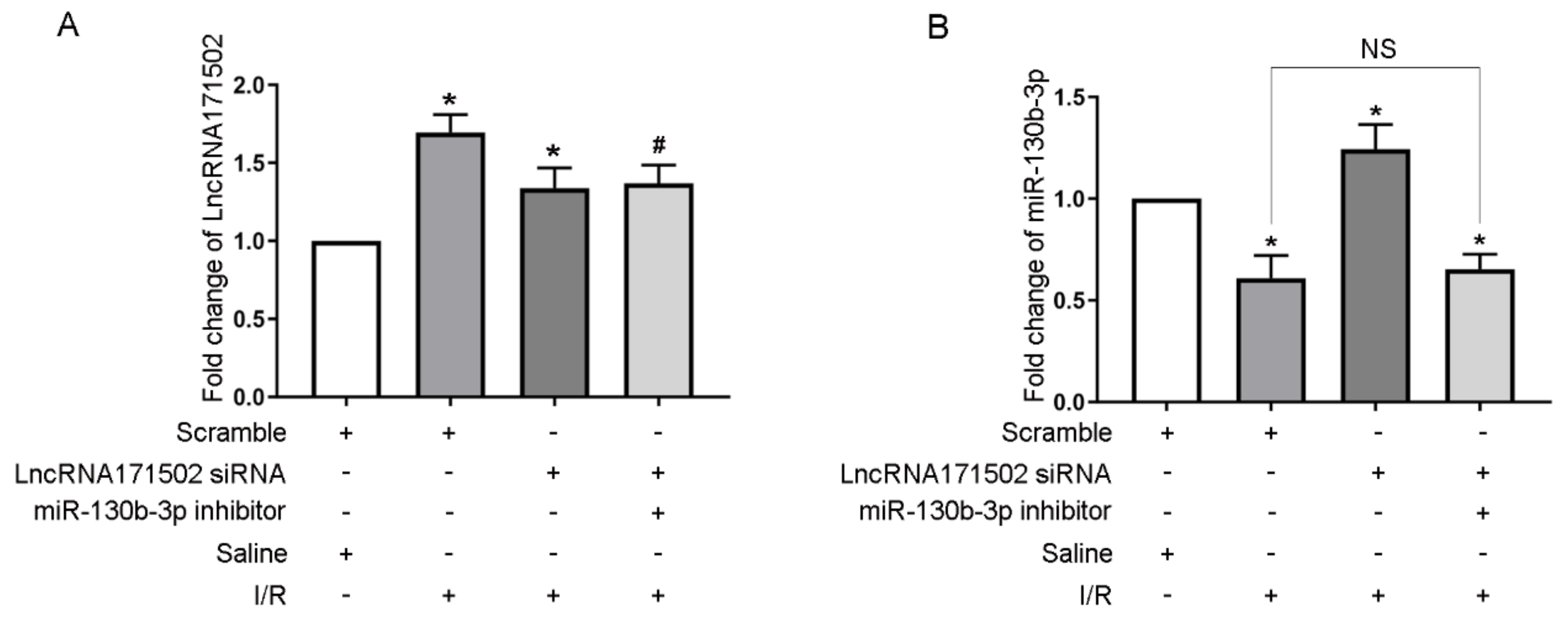 Cells 11 03747 g008a Cells 11 03747 g008a