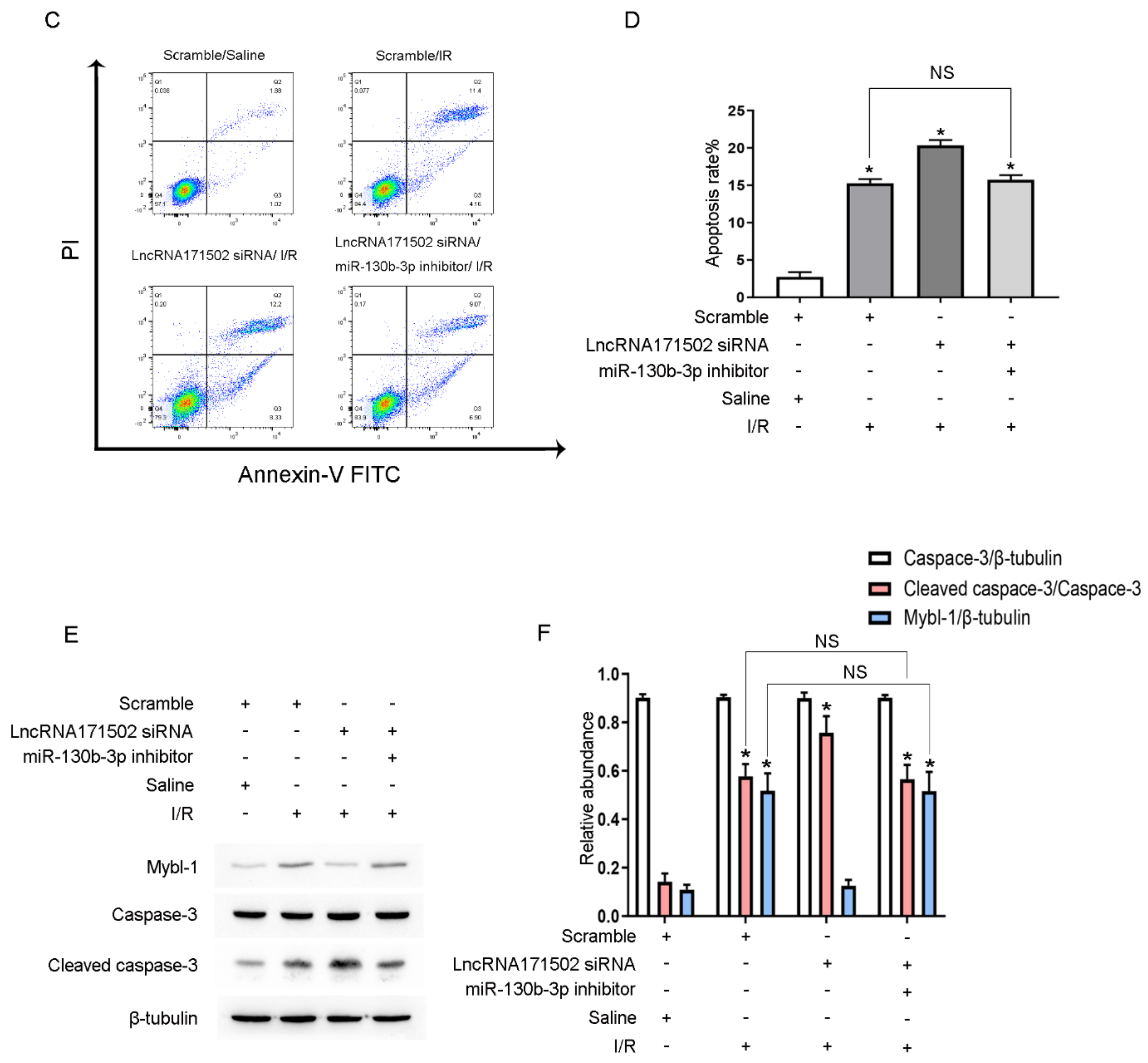 Cells 11 03747 g008b Cells 11 03747 g008b
