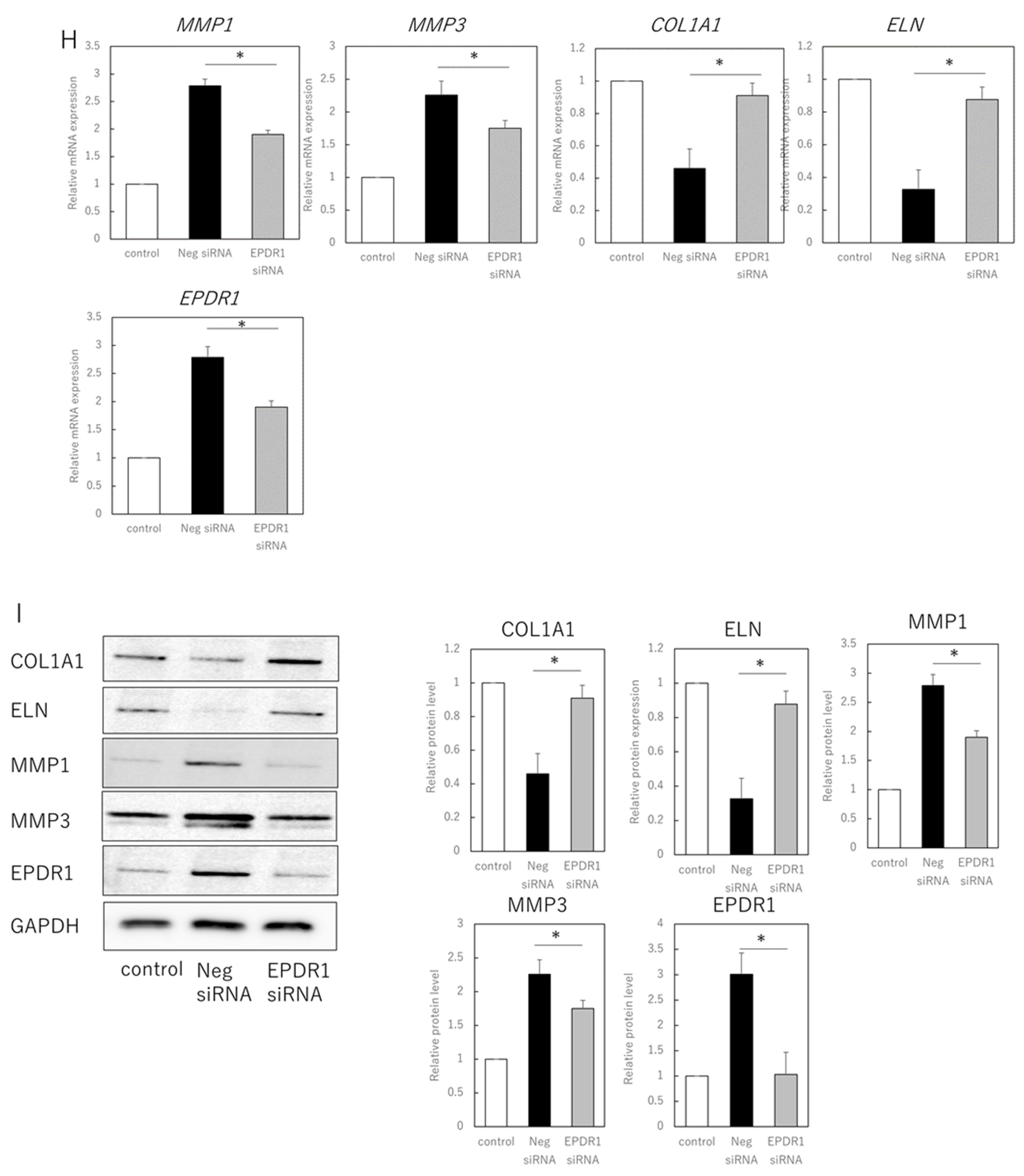 Cells 11 03749 g002c