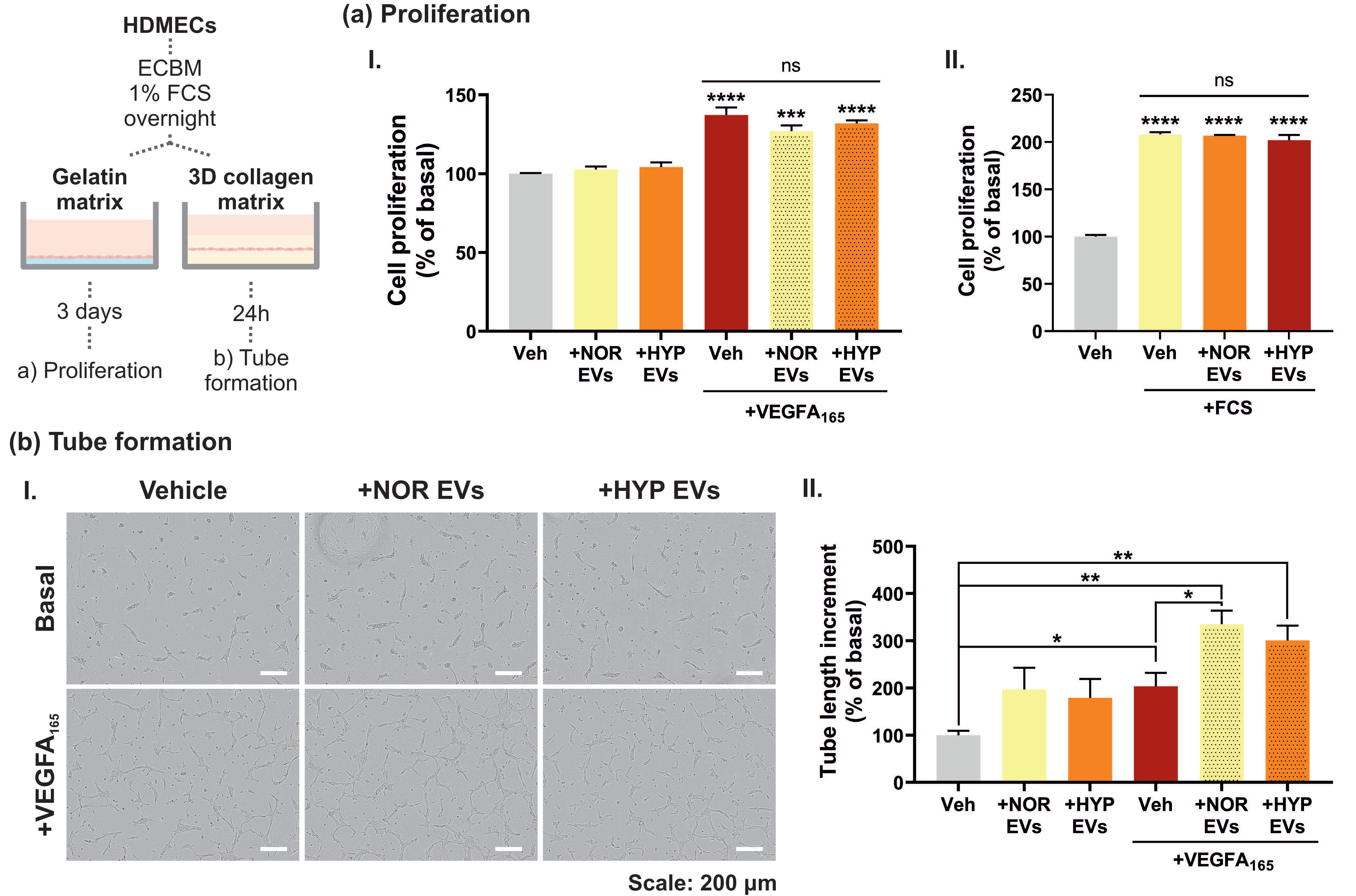 Cells 11 03750 g003 Cells 11 03750 g003