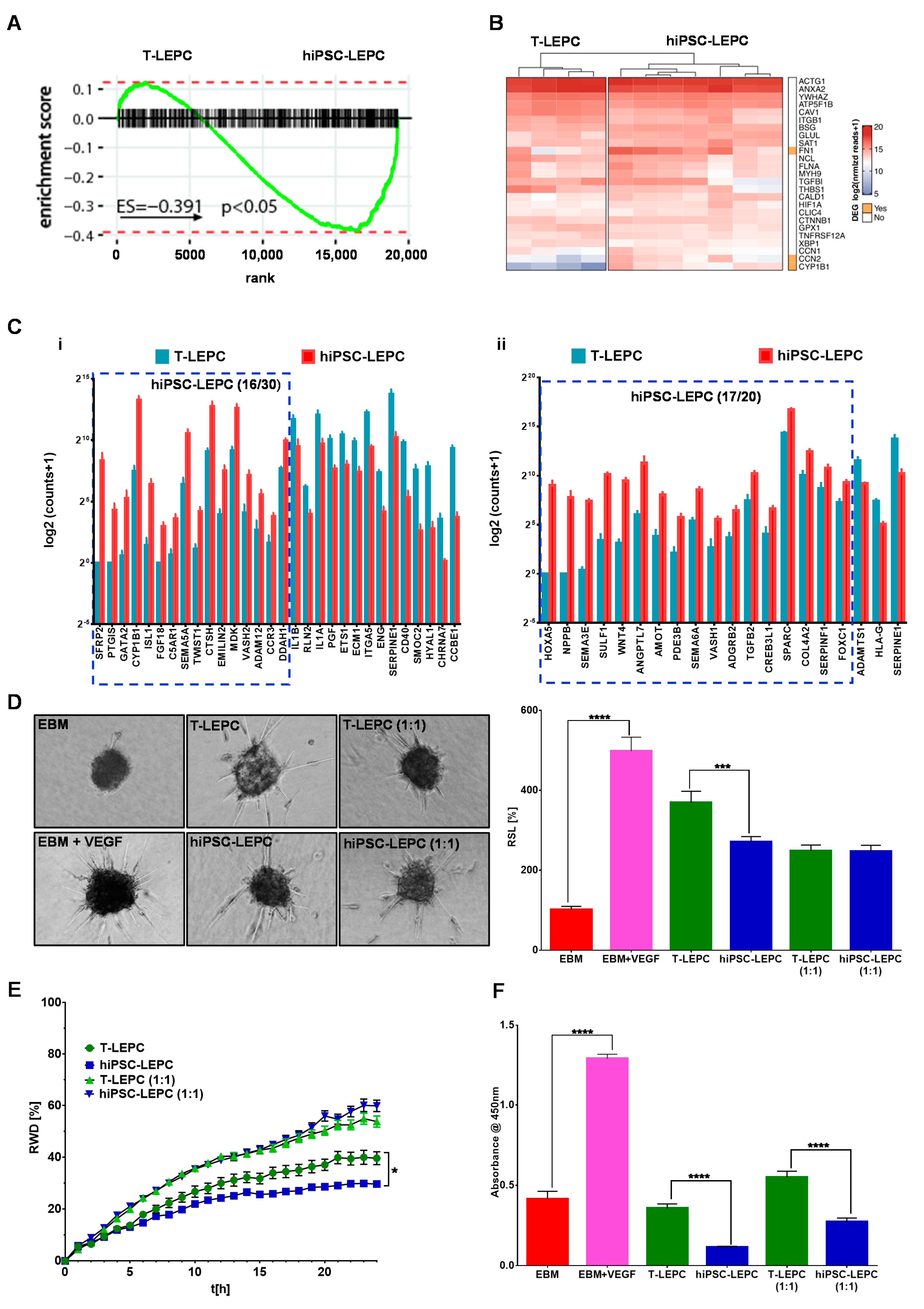 Cells 11 03752 g005 Cells 11 03752 g005