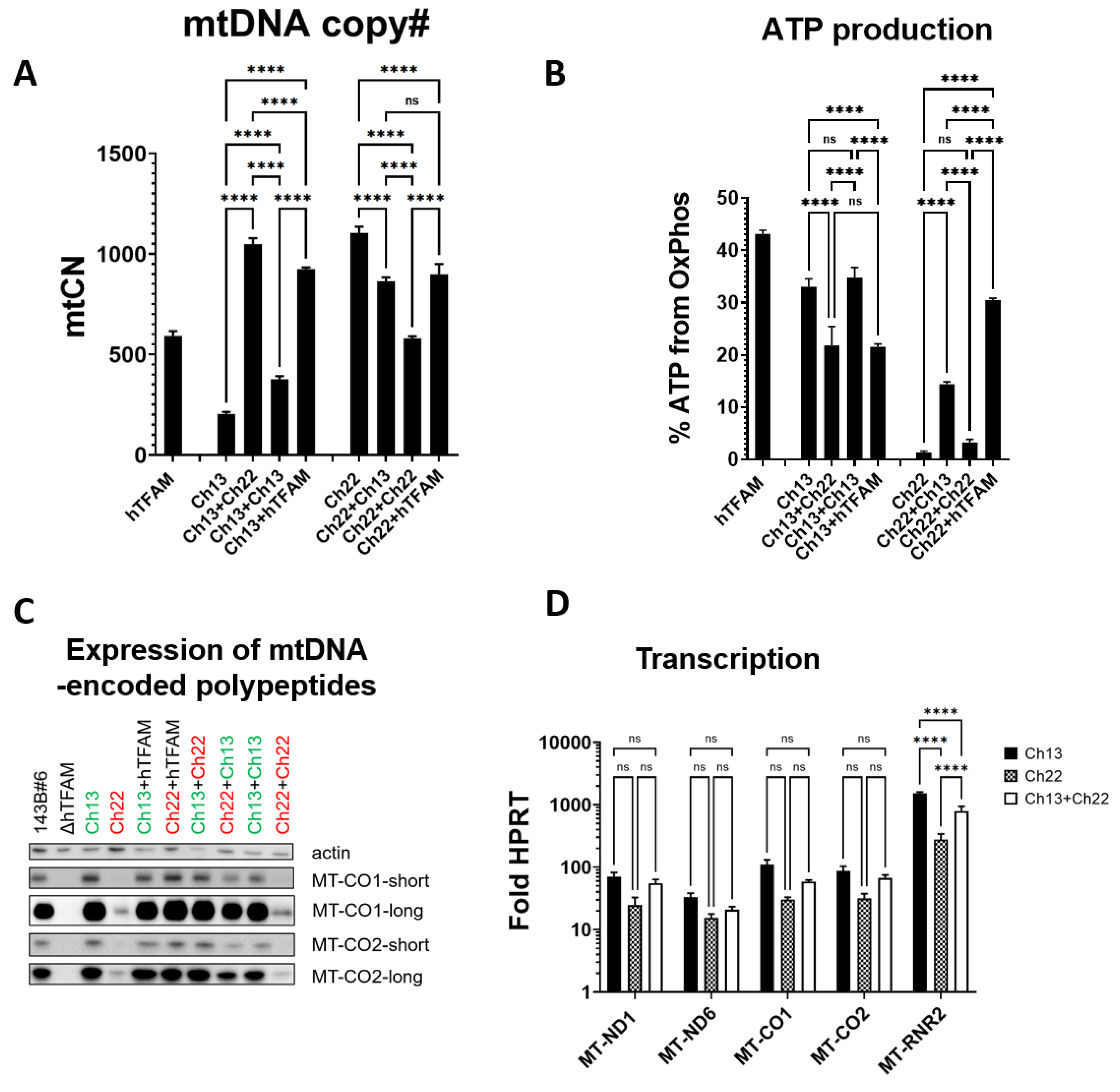 Cells 11 03754 g006 Cells 11 03754 g006