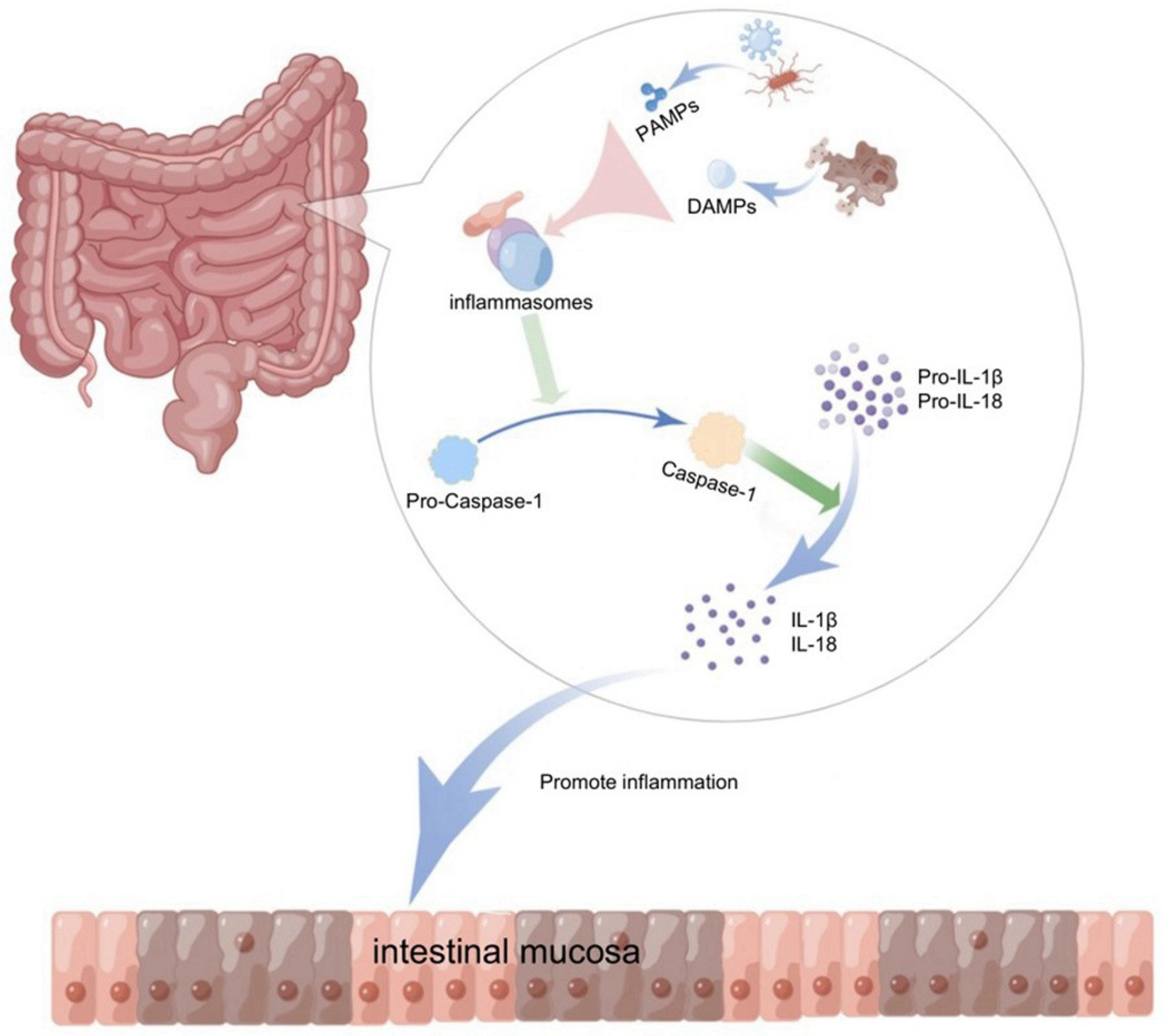 Cells 11 03758 g001 Cells 11 03758 g001