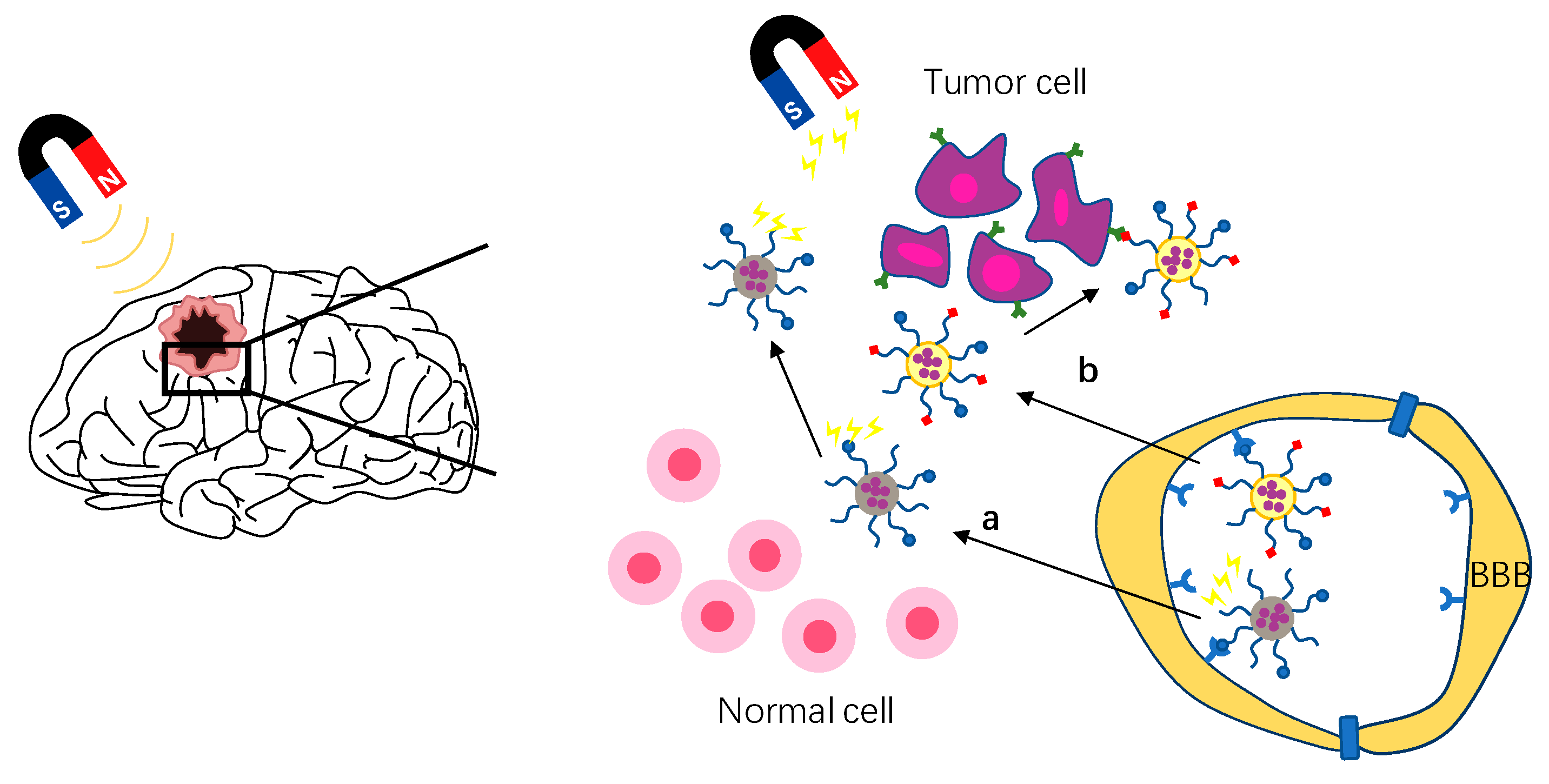 Cells 11 03761 g004 Cells 11 03761 g004