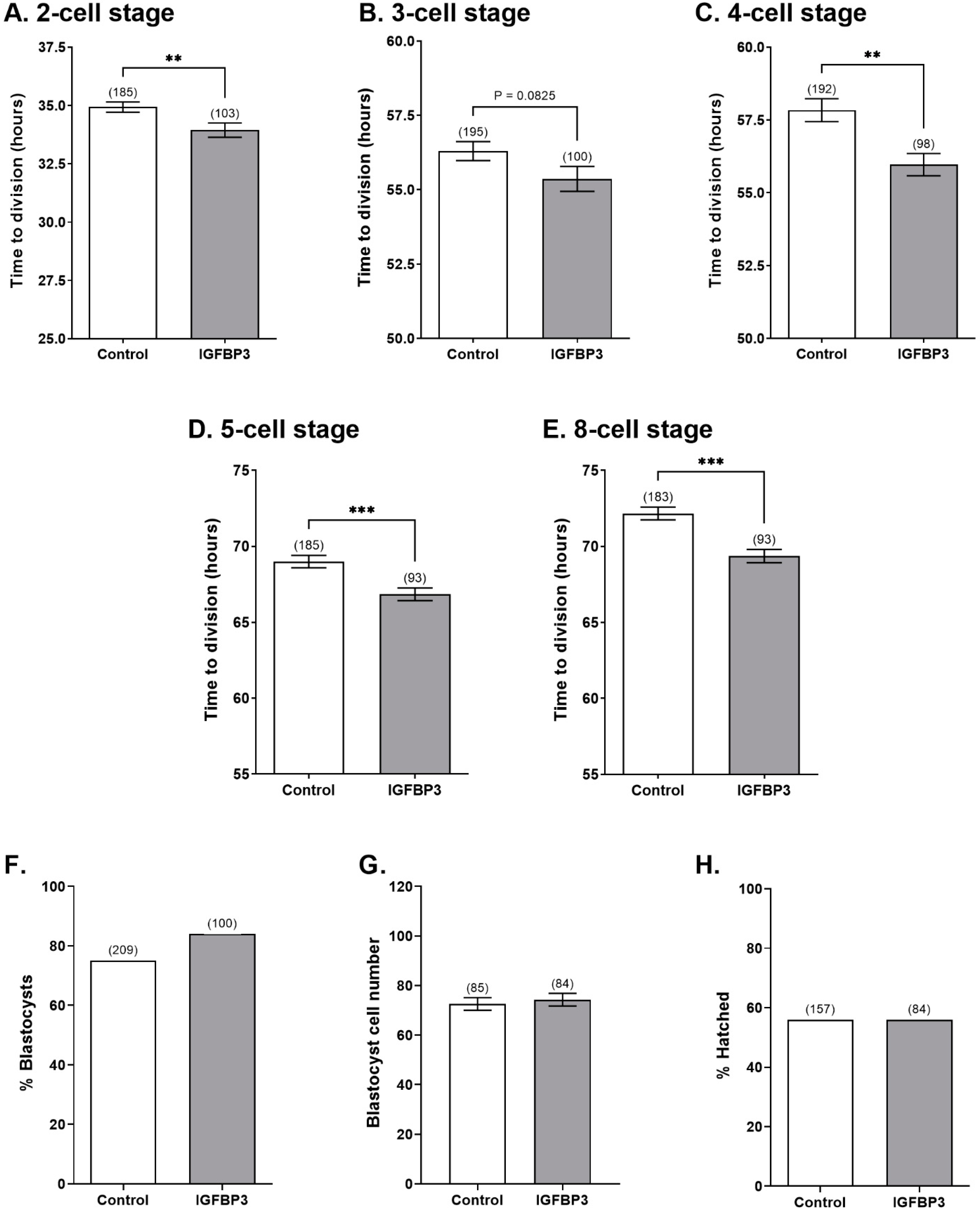 Cells 11 03762 g002 Cells 11 03762 g002
