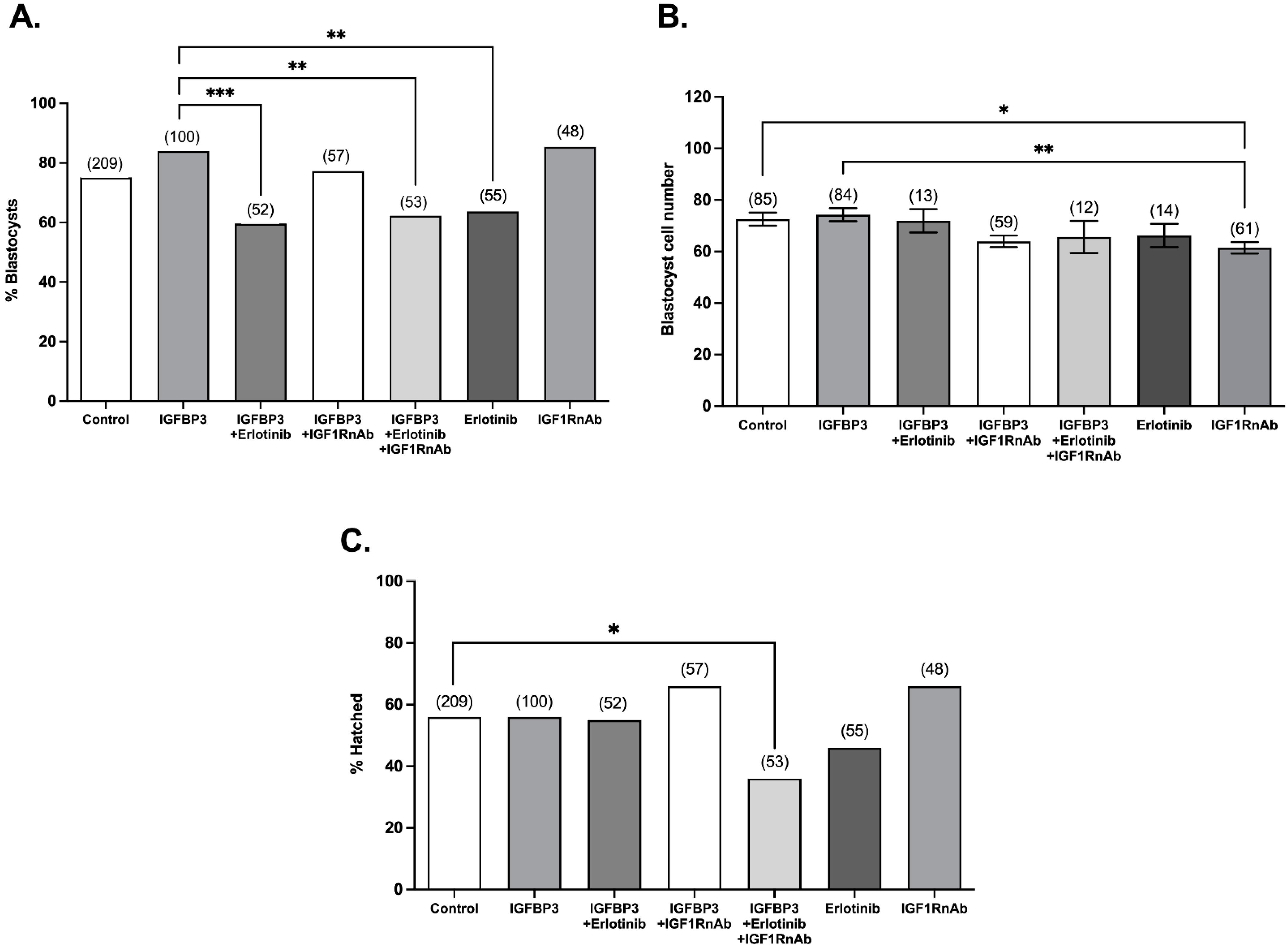 Cells 11 03762 g004 Cells 11 03762 g004