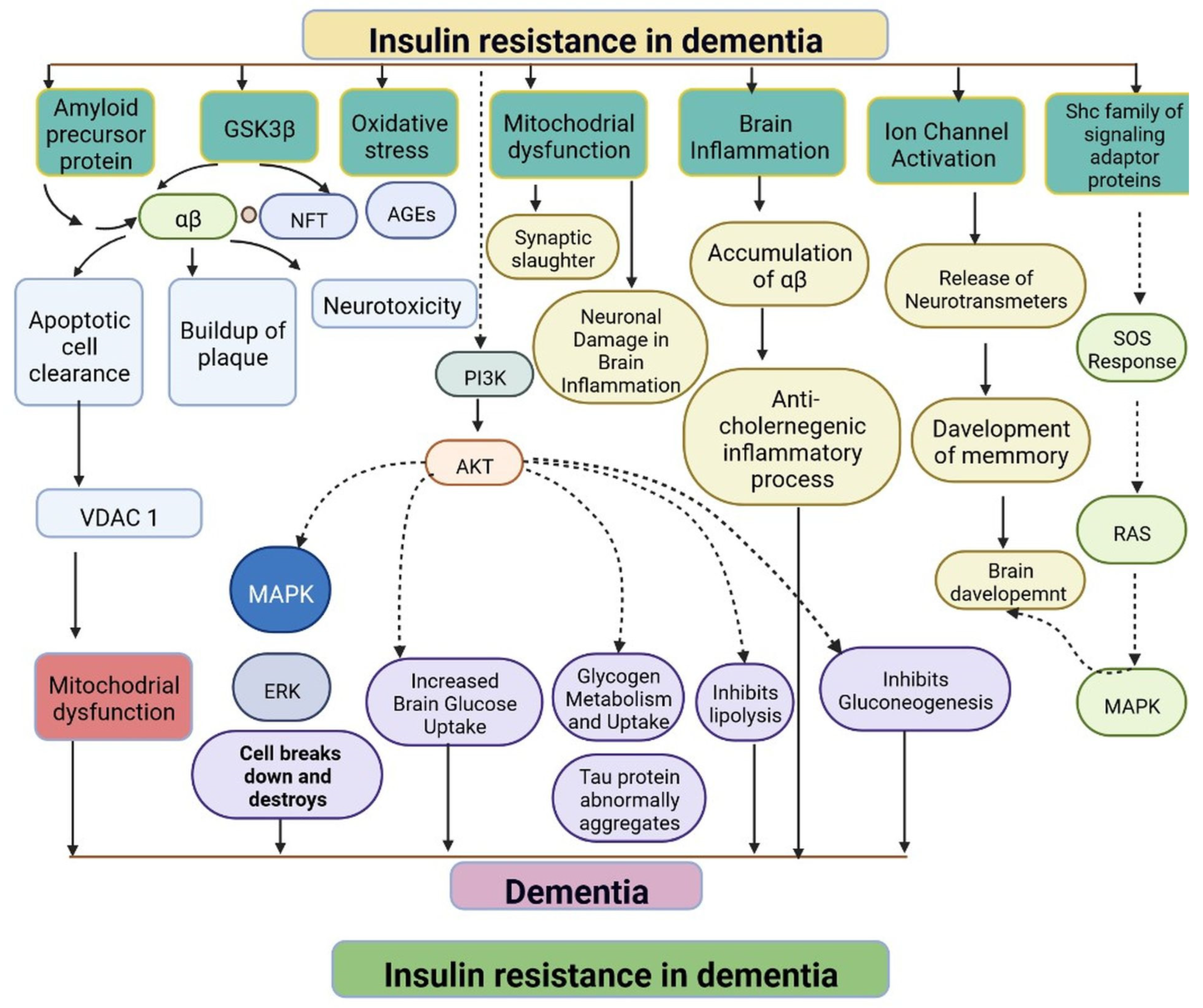 Cells 11 03767 g006 Cells 11 03767 g006