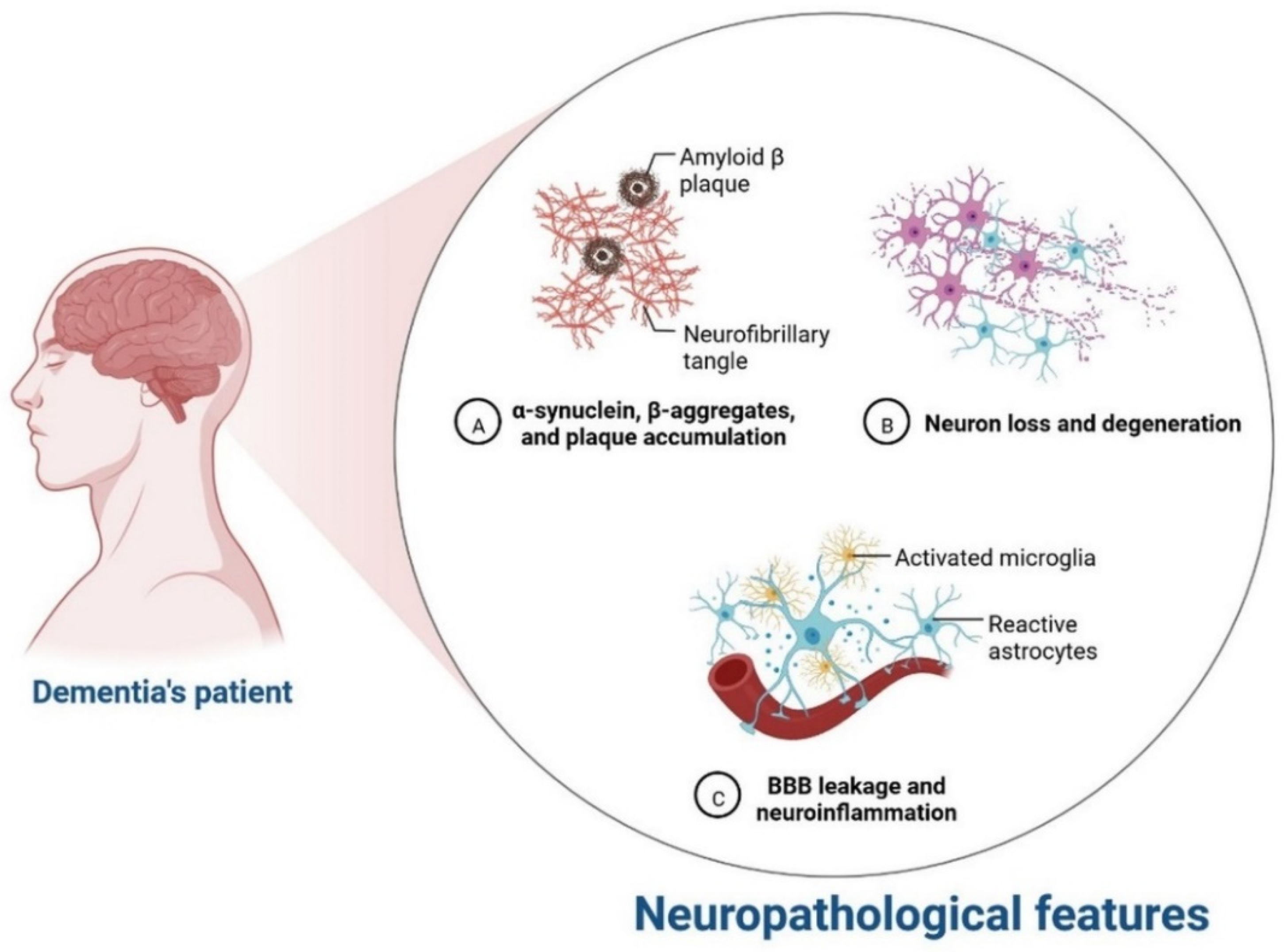 Cells 11 03767 g010 Cells 11 03767 g010