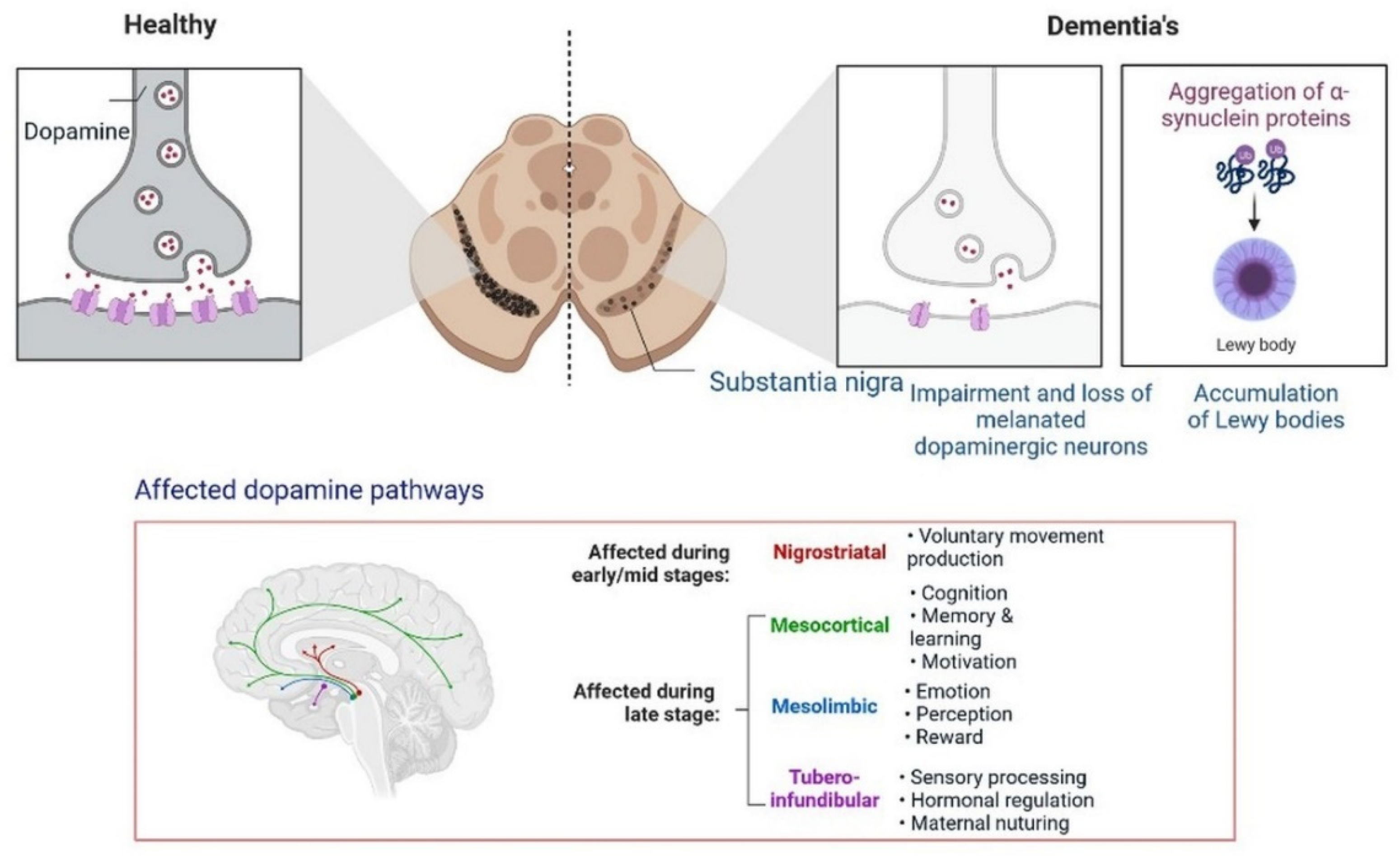 Cells 11 03767 g011 Cells 11 03767 g011