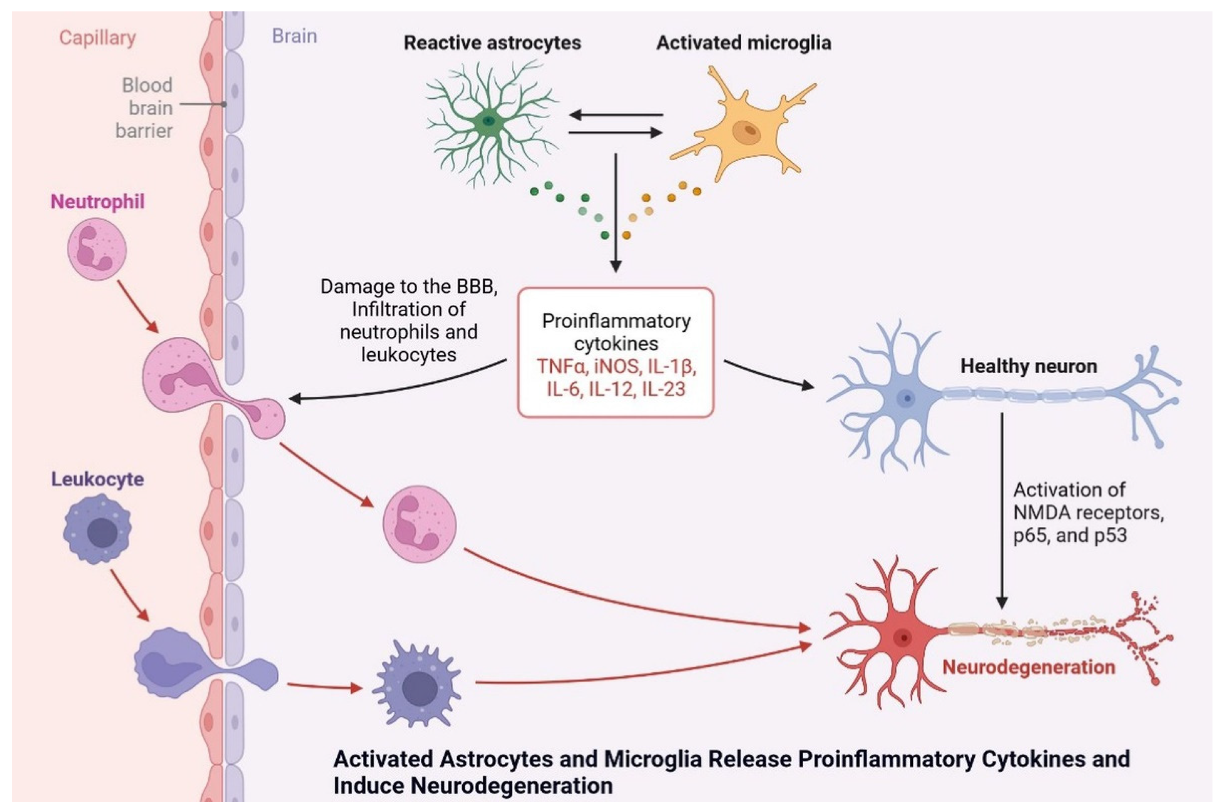 Cells 11 03767 g013 Cells 11 03767 g013