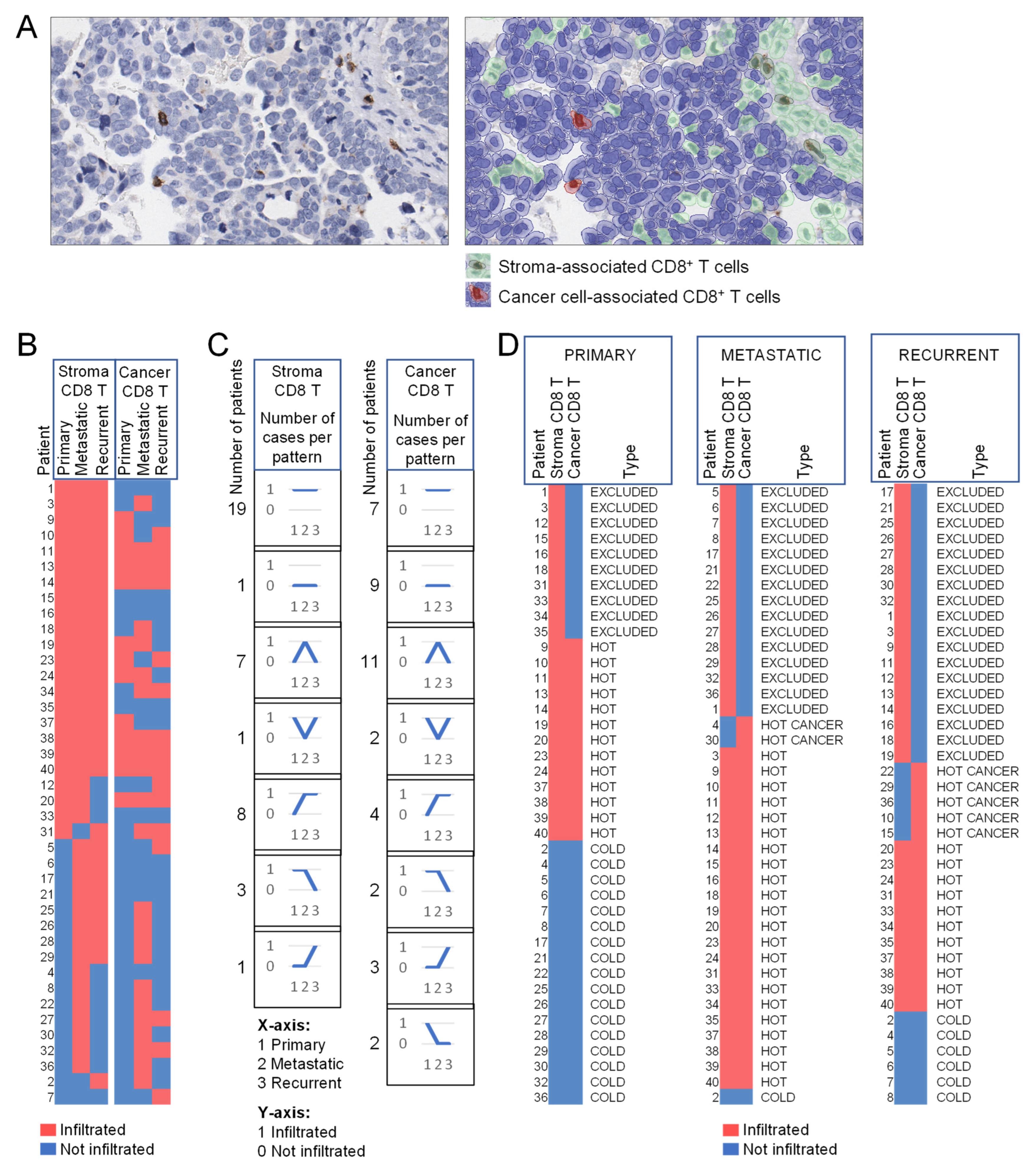 Cells 11 03769 g006 Cells 11 03769 g006