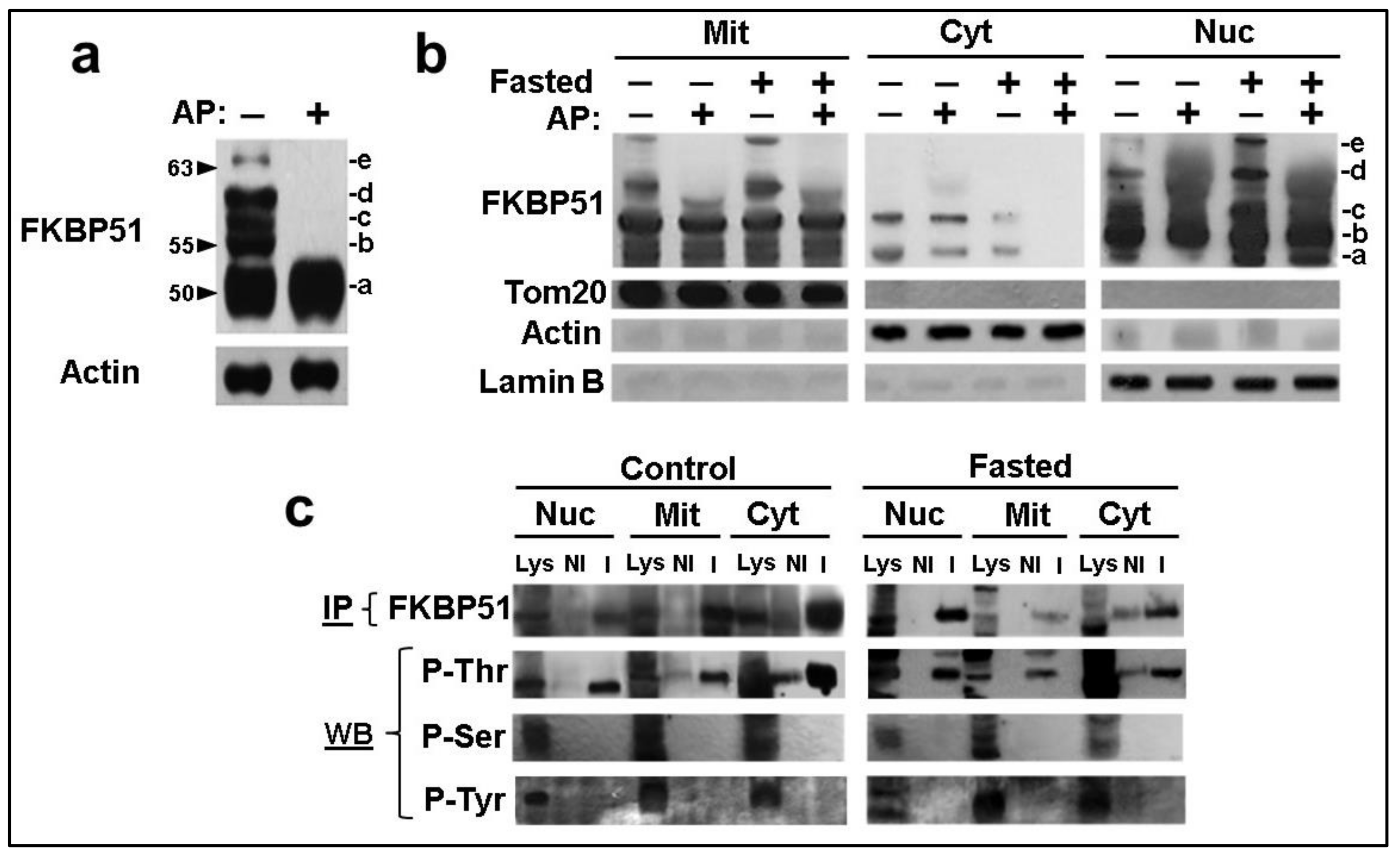 Cells 11 03771 g002 Cells 11 03771 g002