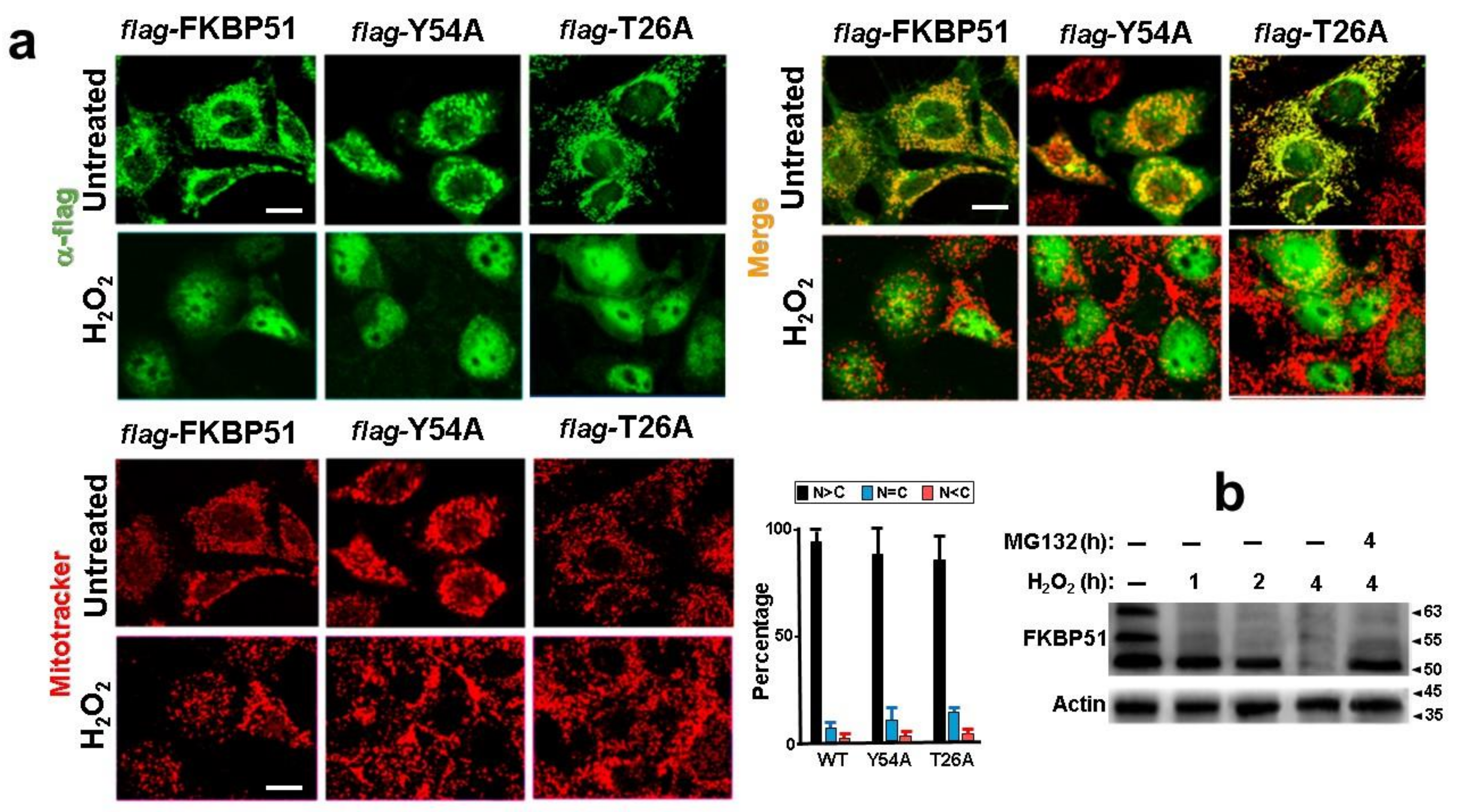 Cells 11 03771 g005 Cells 11 03771 g005