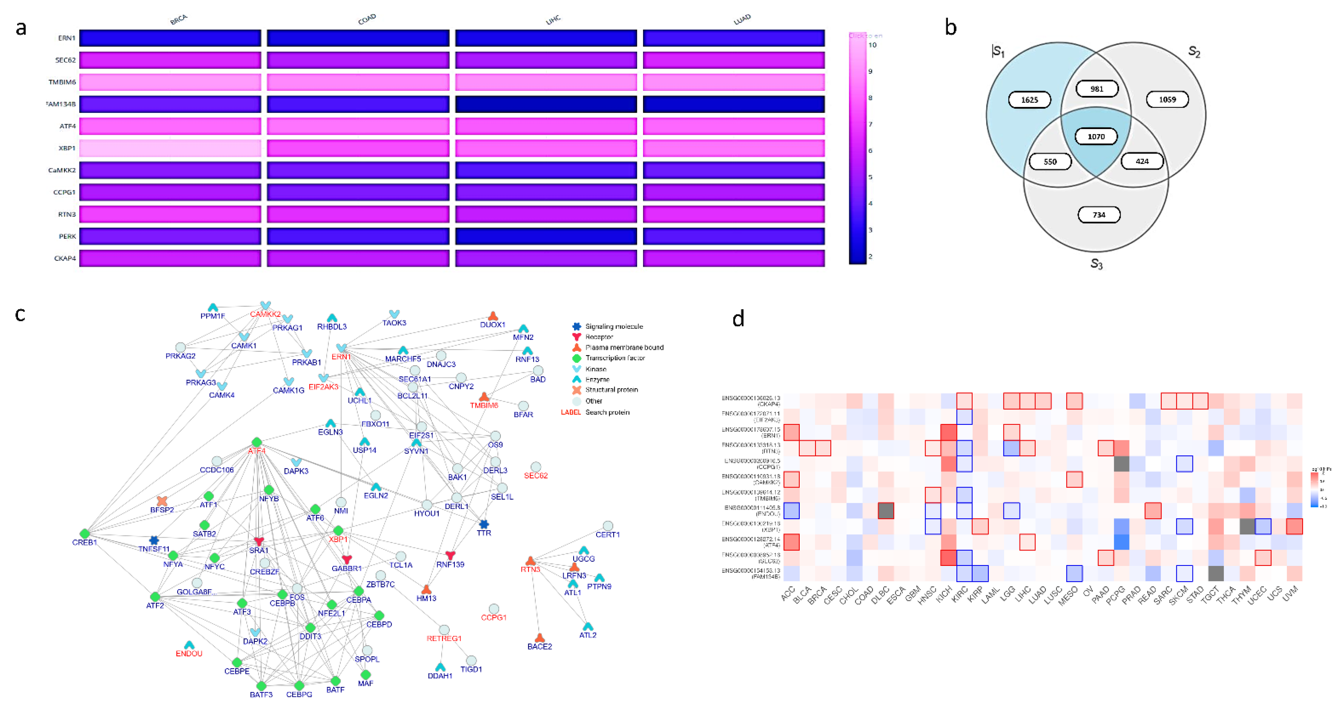 Cells 11 03773 g004 Cells 11 03773 g004