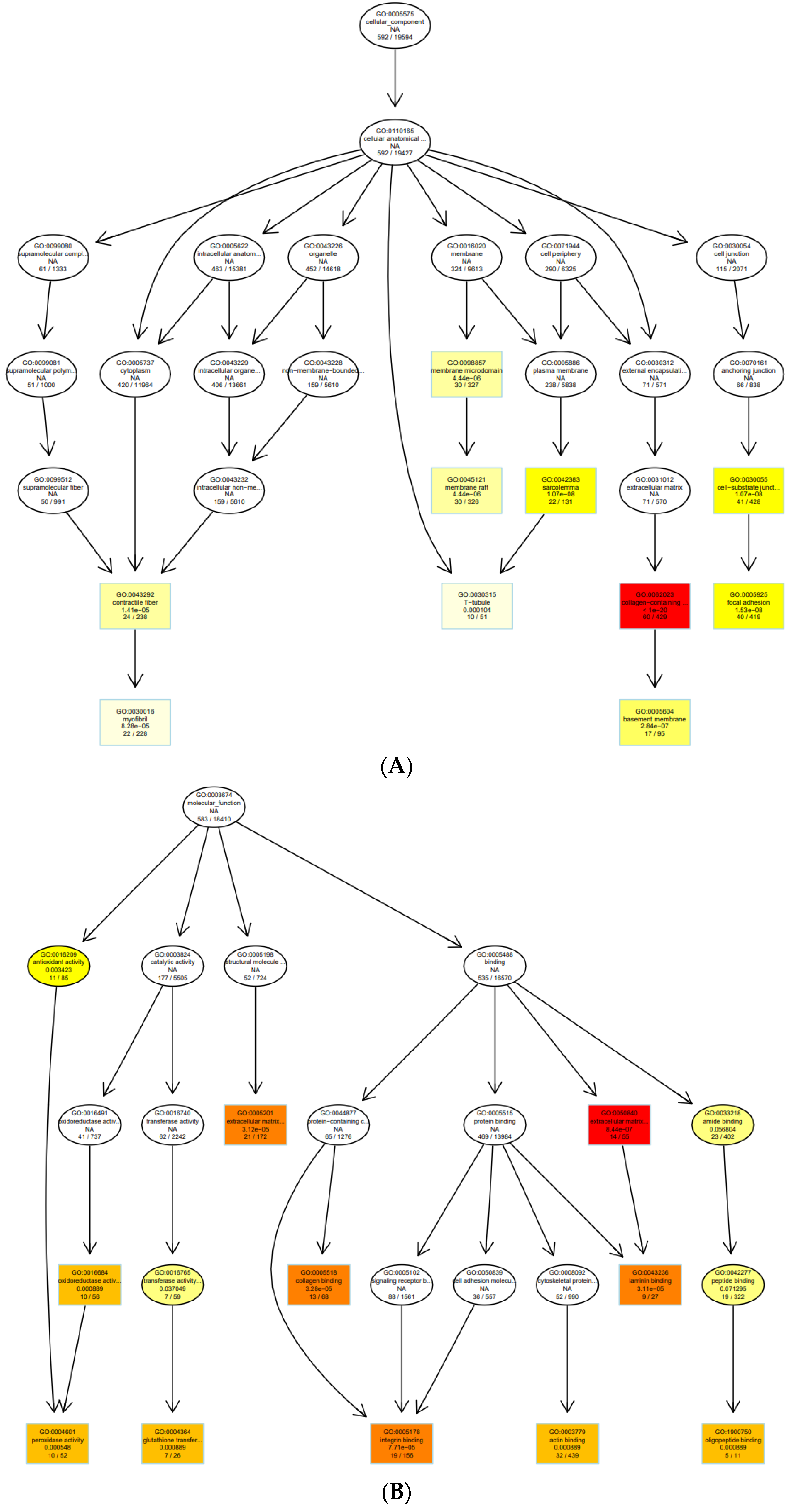 Cells 11 03776 g009a