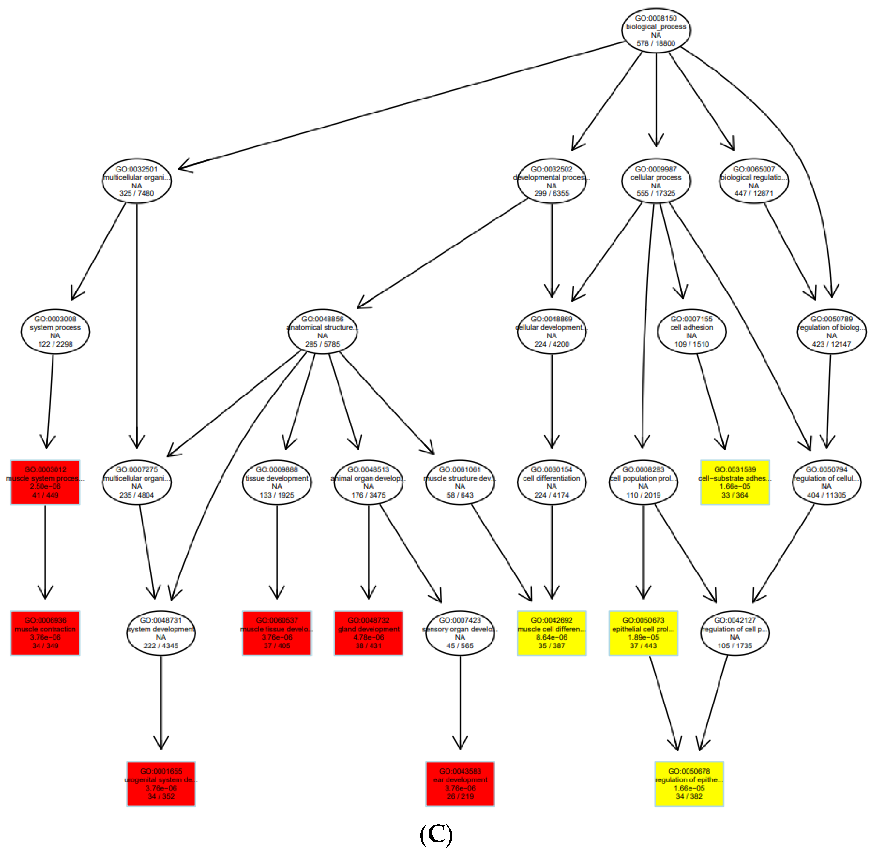 Cells 11 03776 g009b
