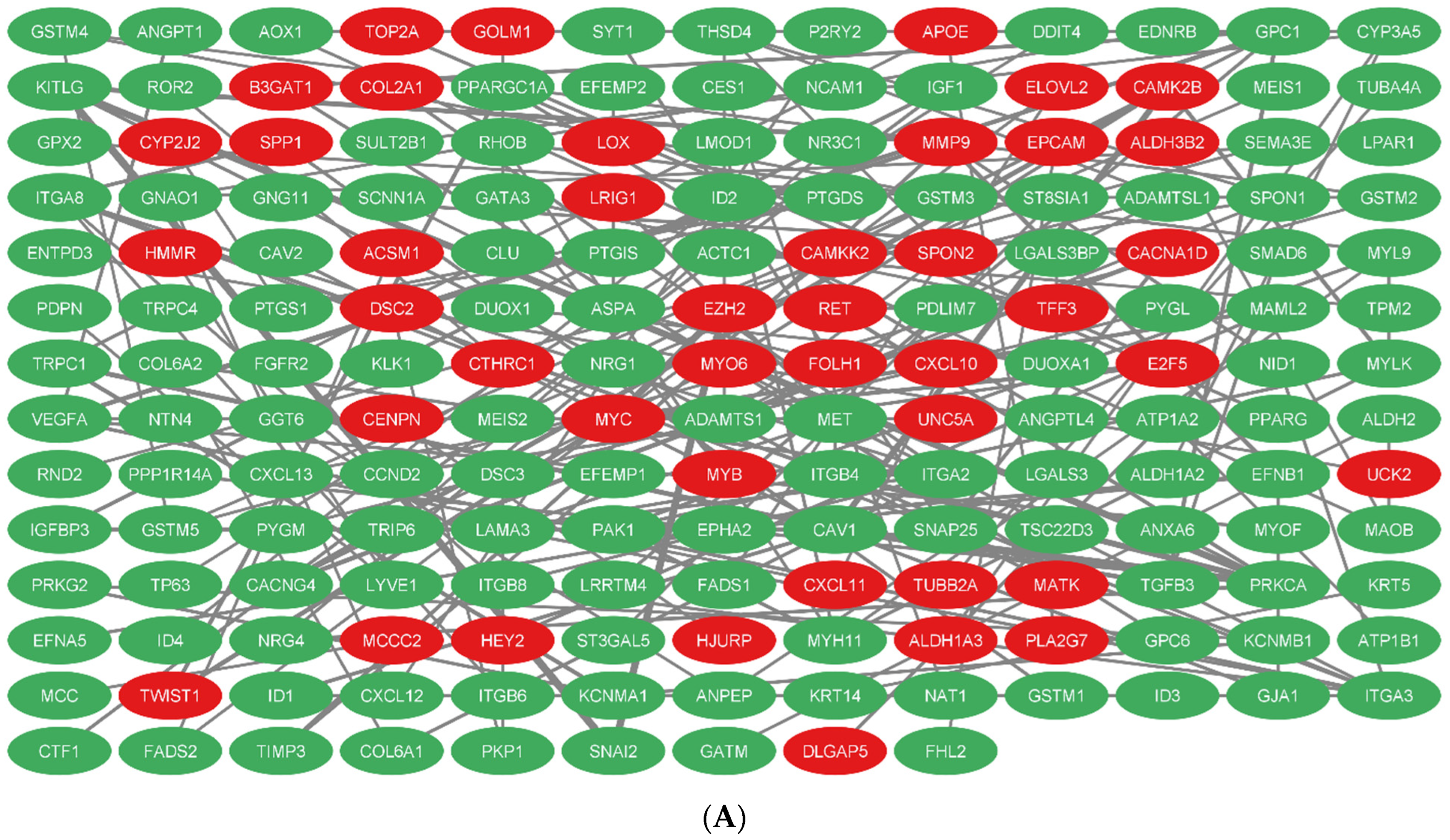 Cells 11 03776 g015a