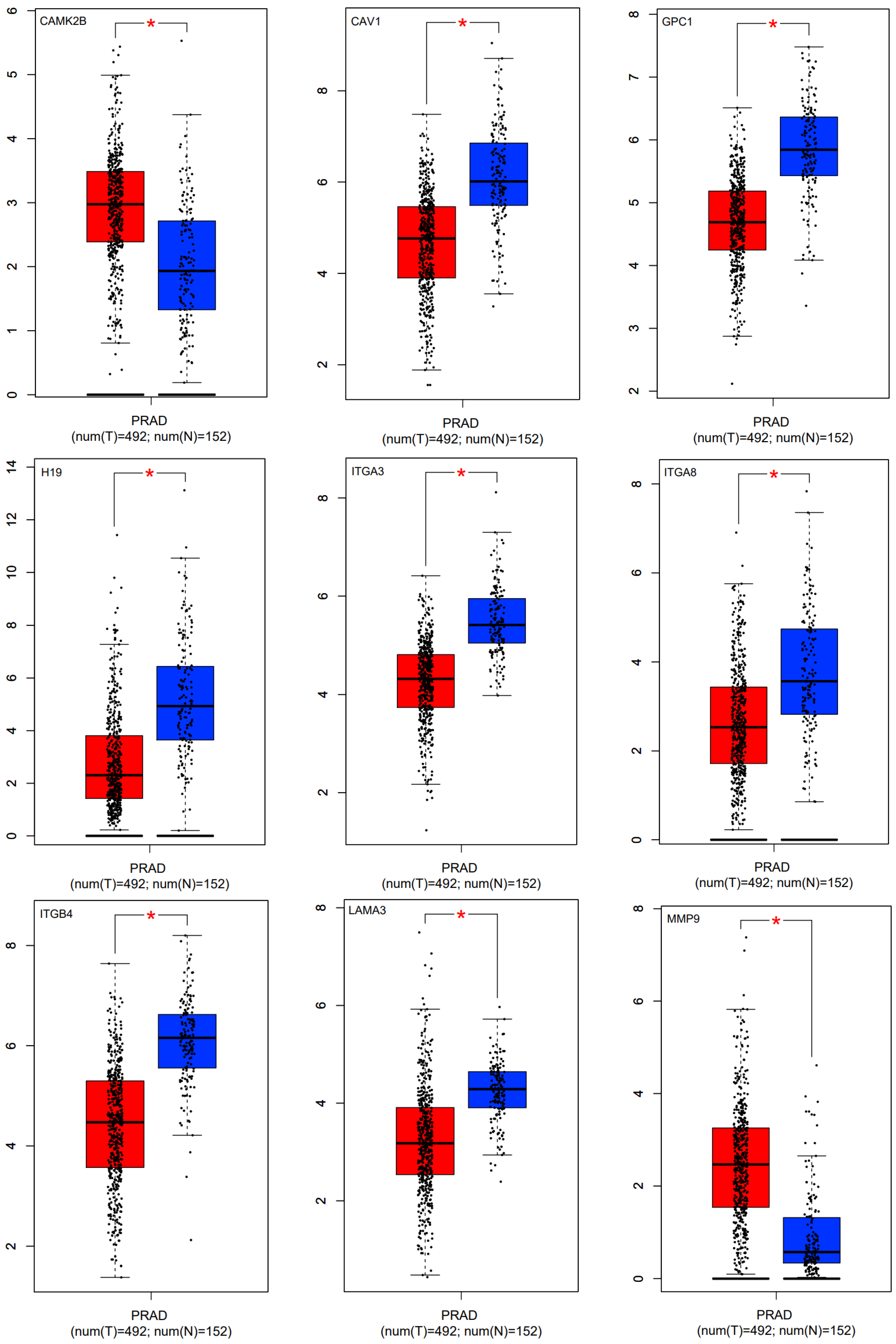 Cells 11 03776 g021a