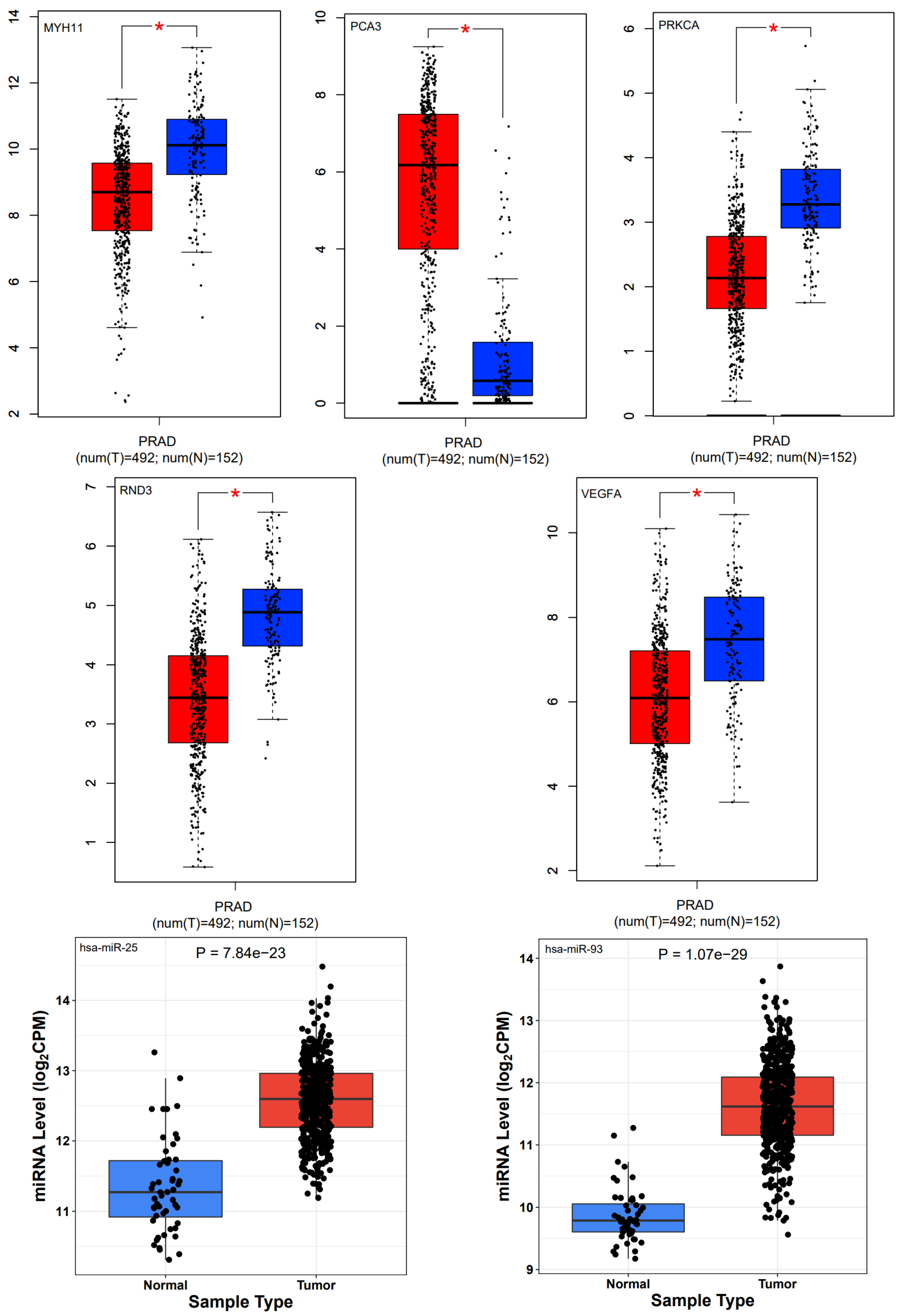 Cells 11 03776 g021b
