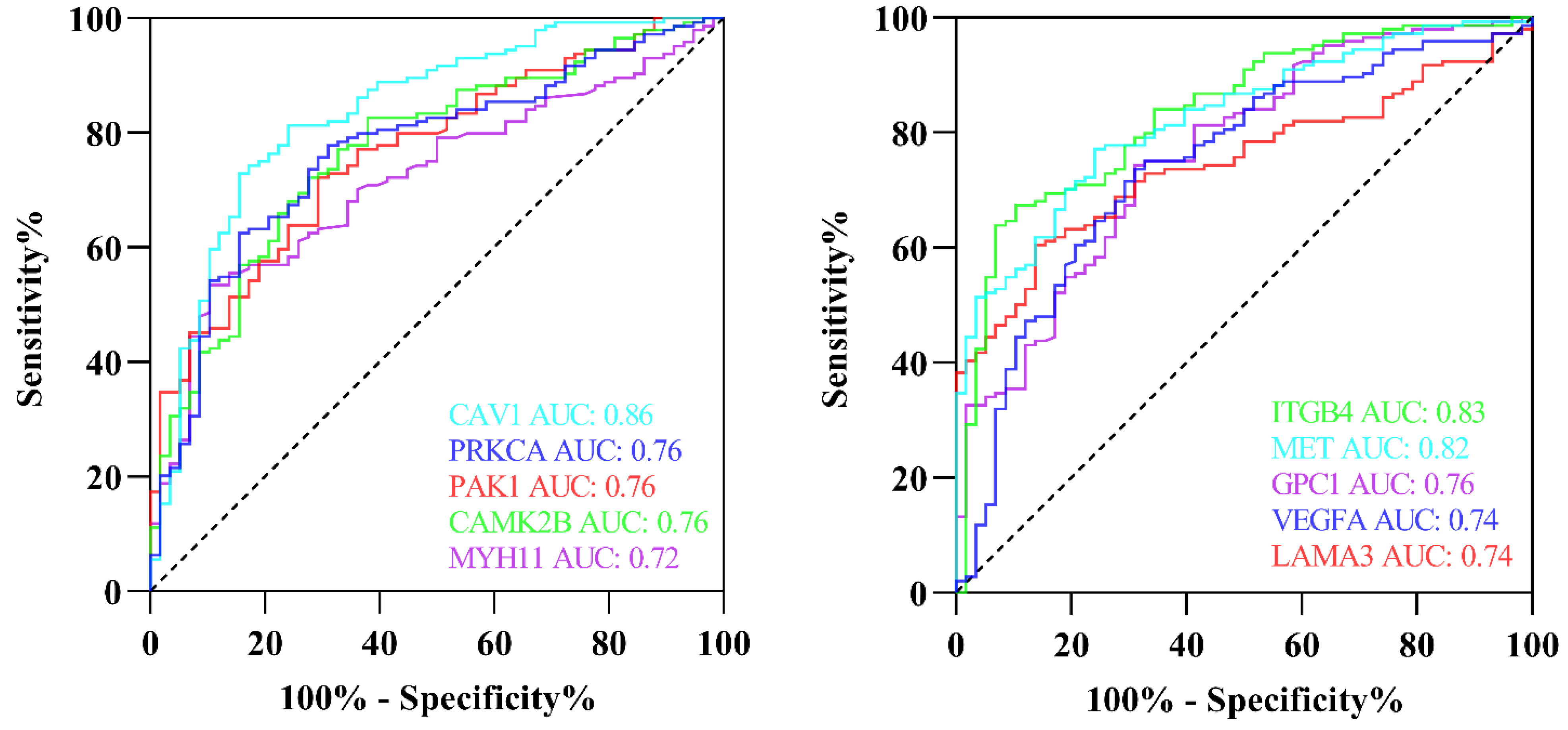 Cells 11 03776 g022a