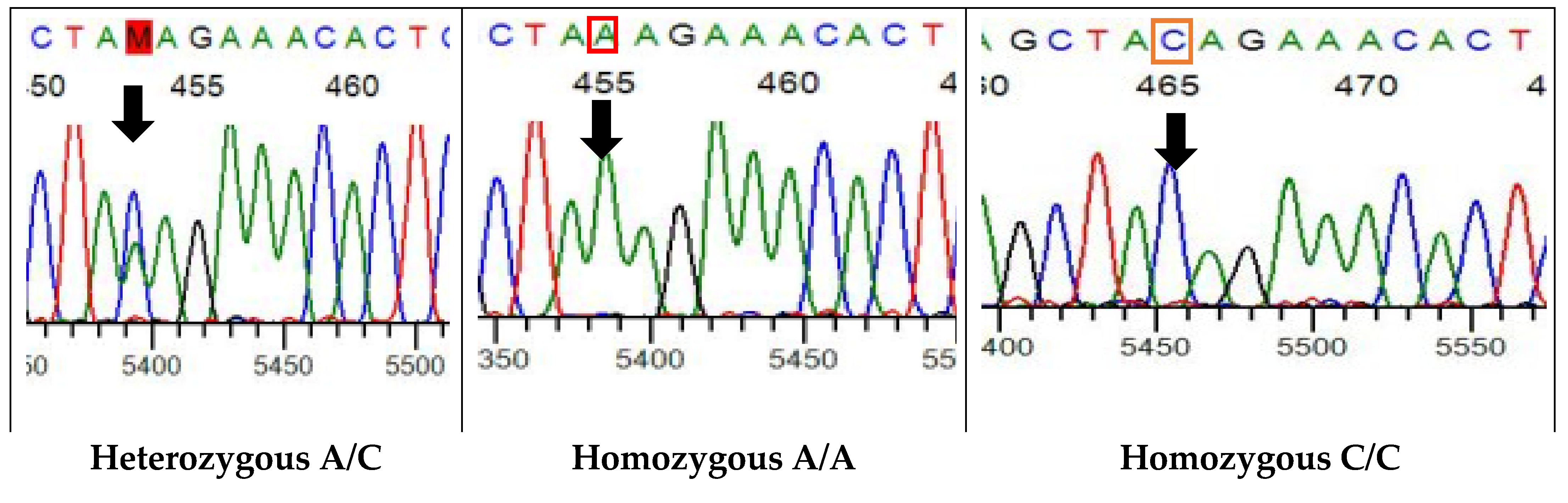 Cells 11 03777 g006 Cells 11 03777 g006