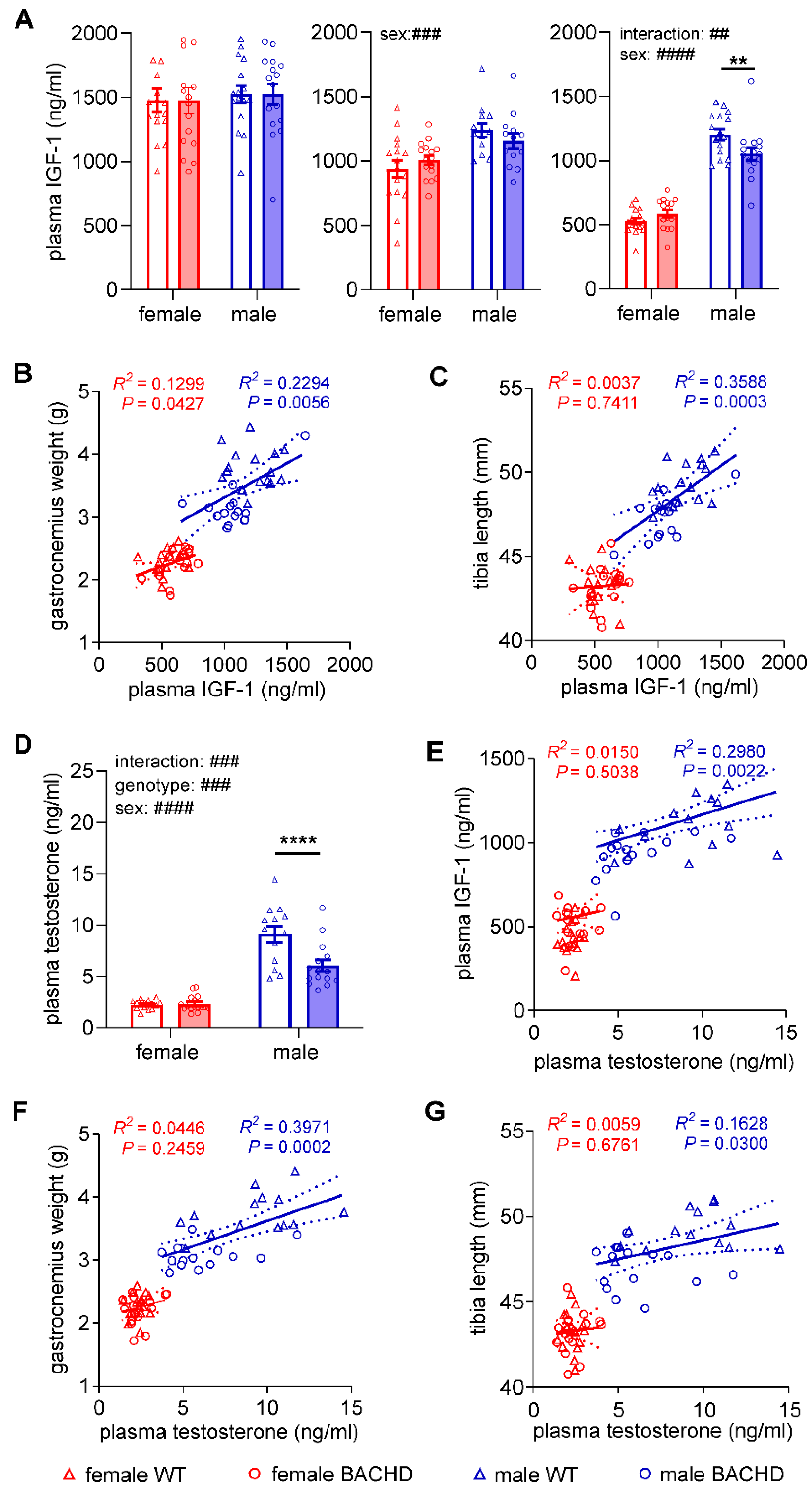 Cells 11 03779 g003 Cells 11 03779 g003