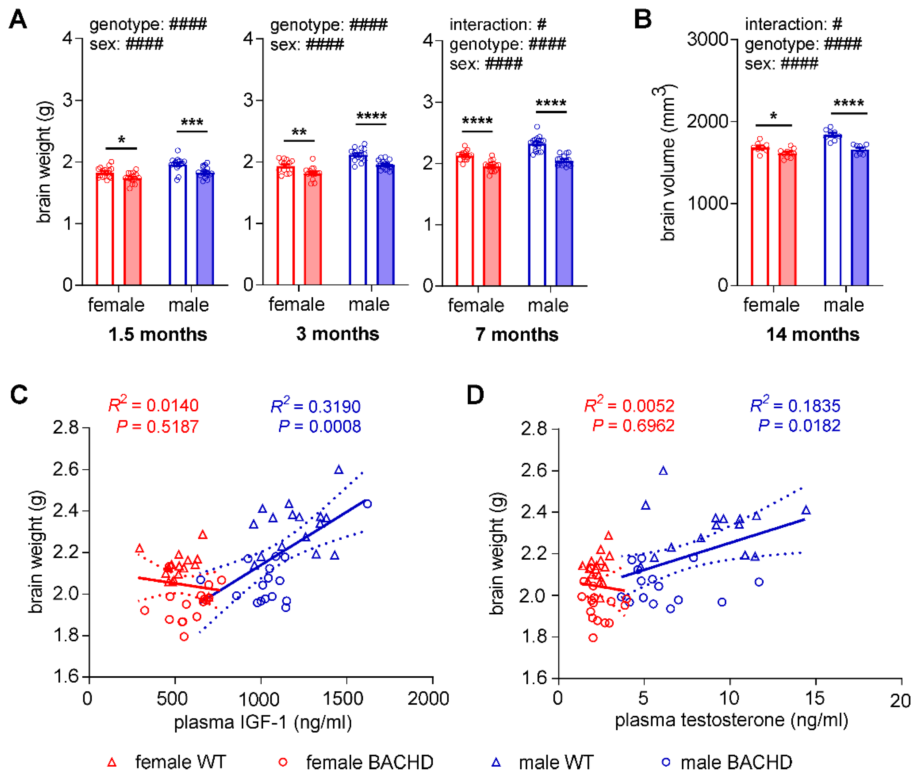 Cells 11 03779 g004 Cells 11 03779 g004