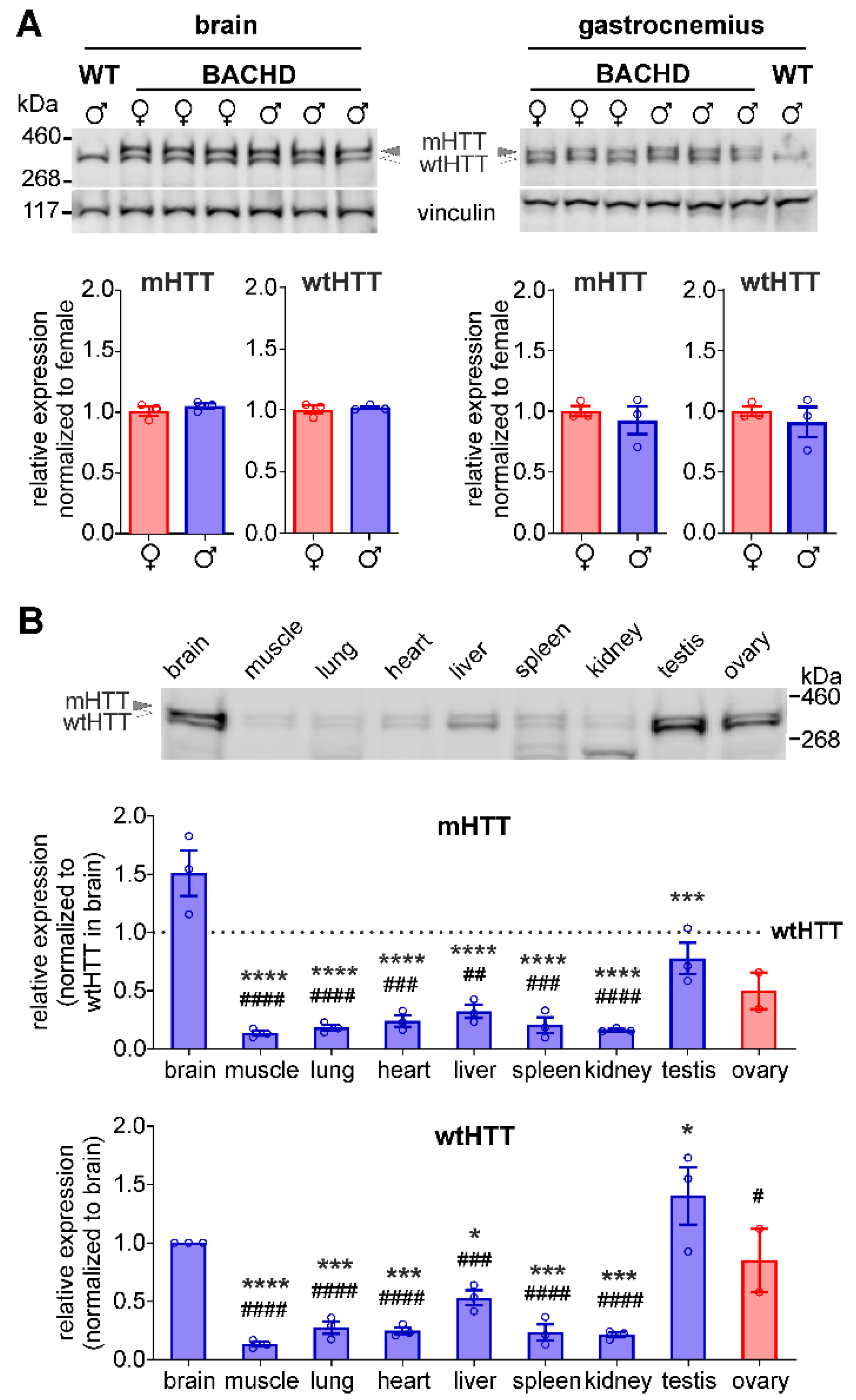 Cells 11 03779 g005 Cells 11 03779 g005