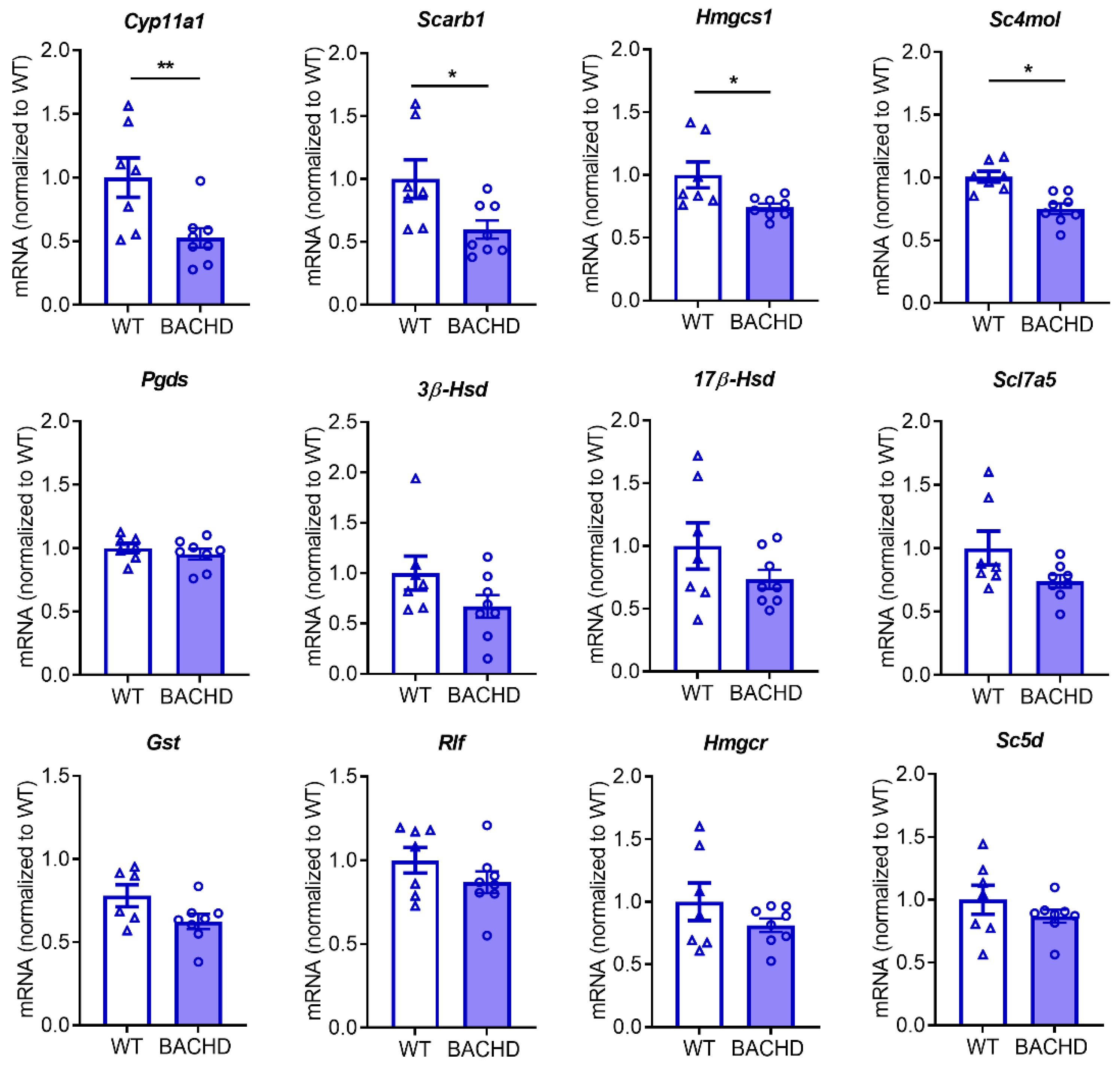Cells 11 03779 g0a2 Cells 11 03779 g0a2