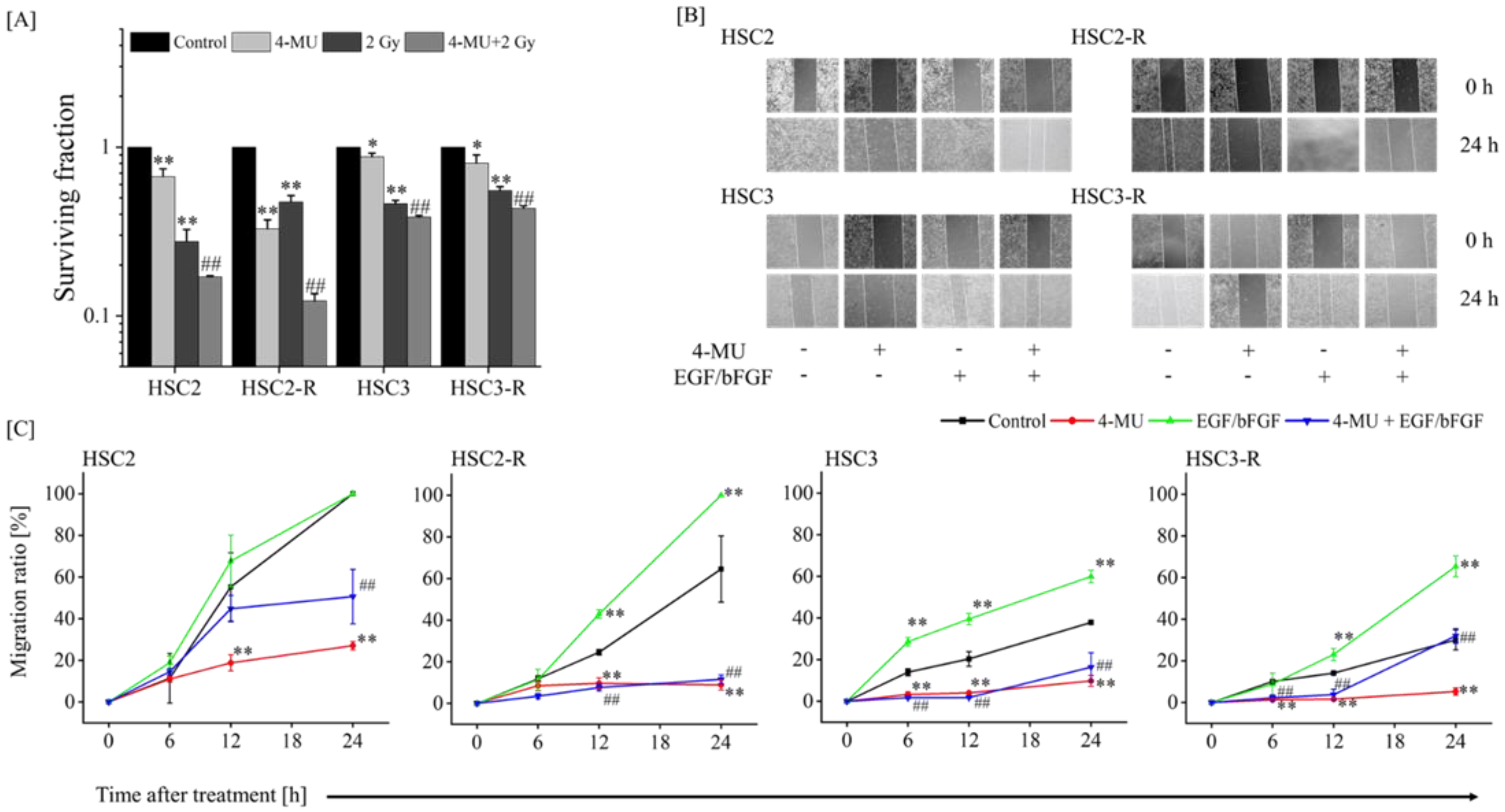 Cells 11 03780 g001 Cells 11 03780 g001