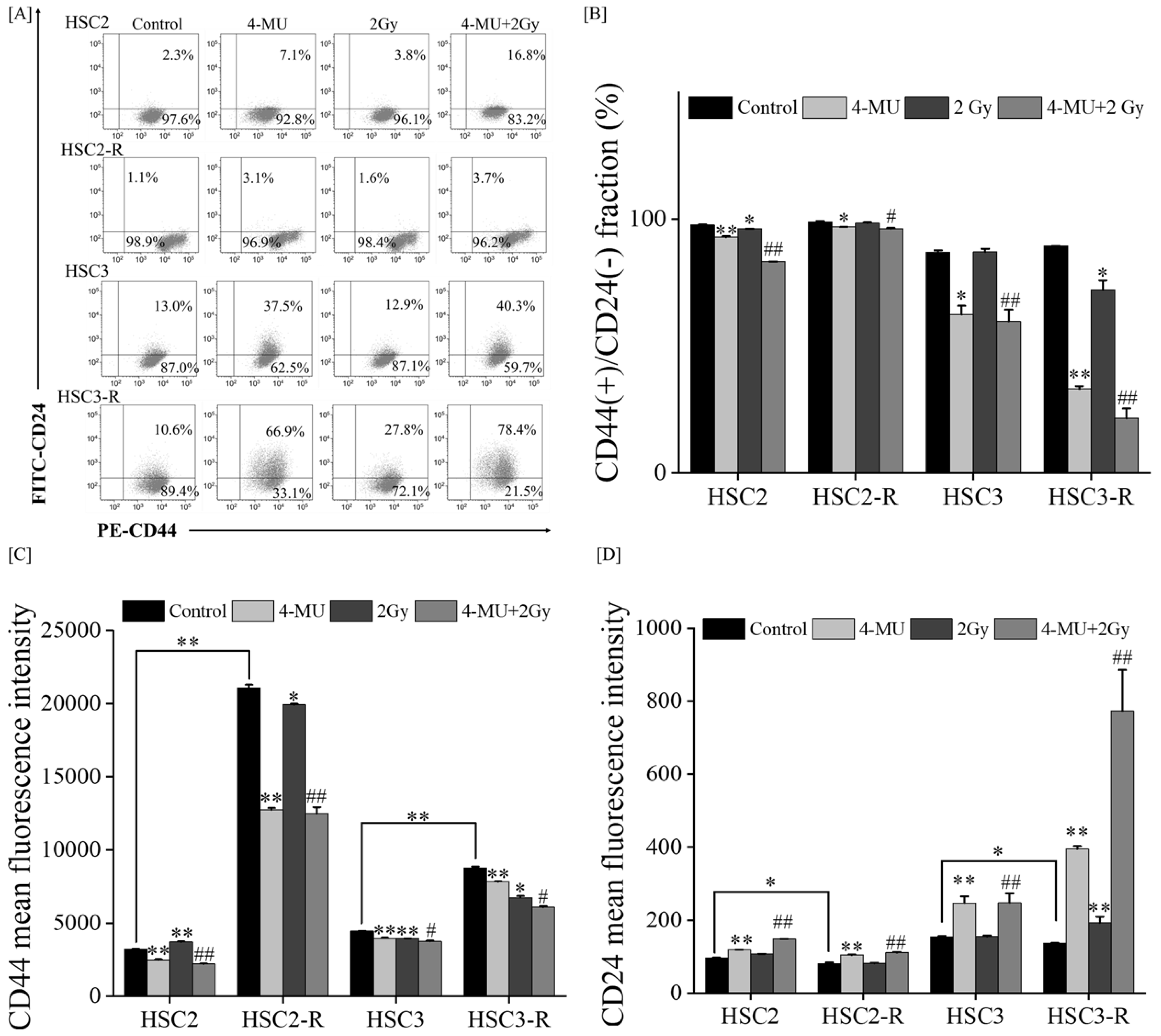 Cells 11 03780 g002 Cells 11 03780 g002
