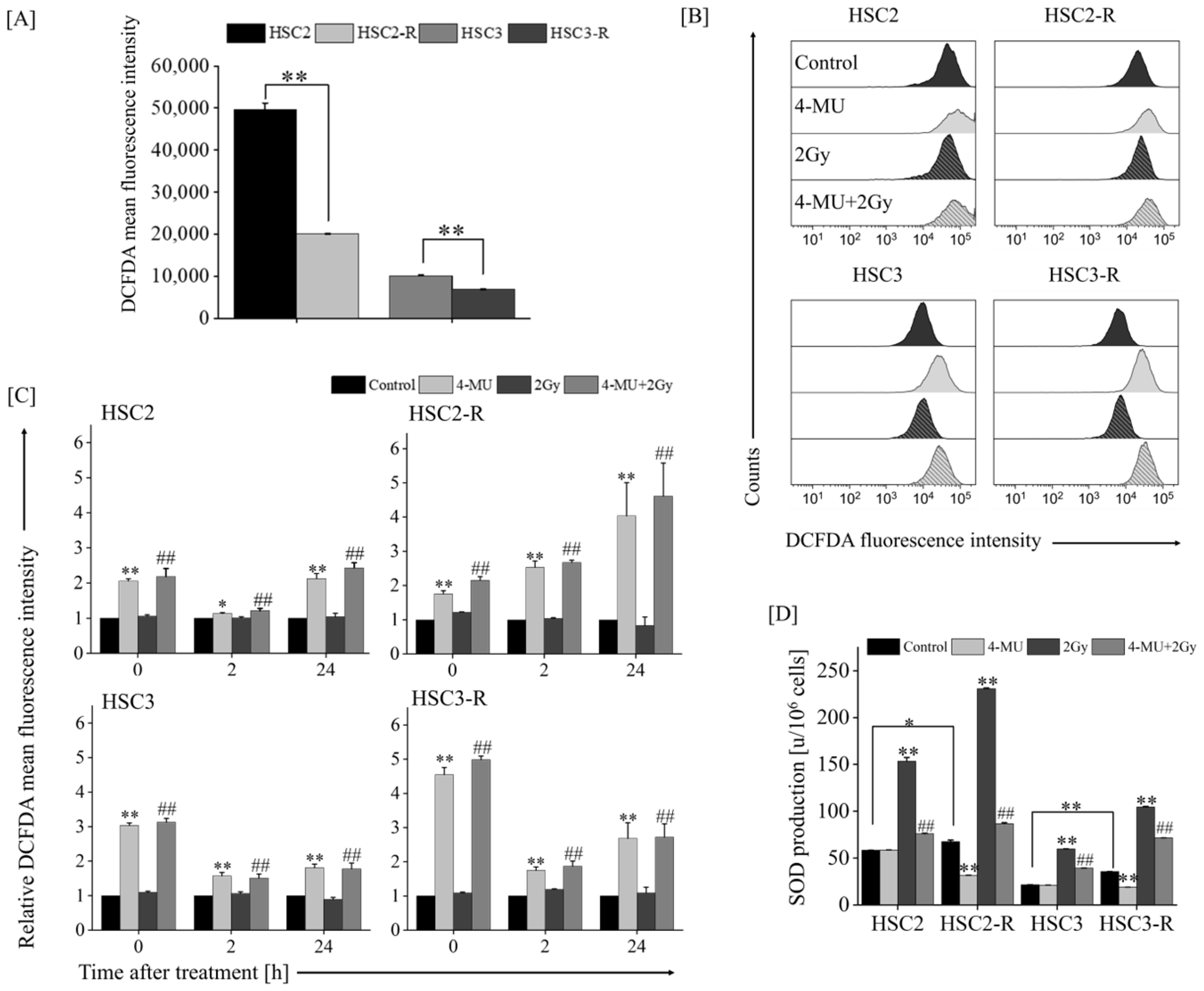 Cells 11 03780 g003 Cells 11 03780 g003