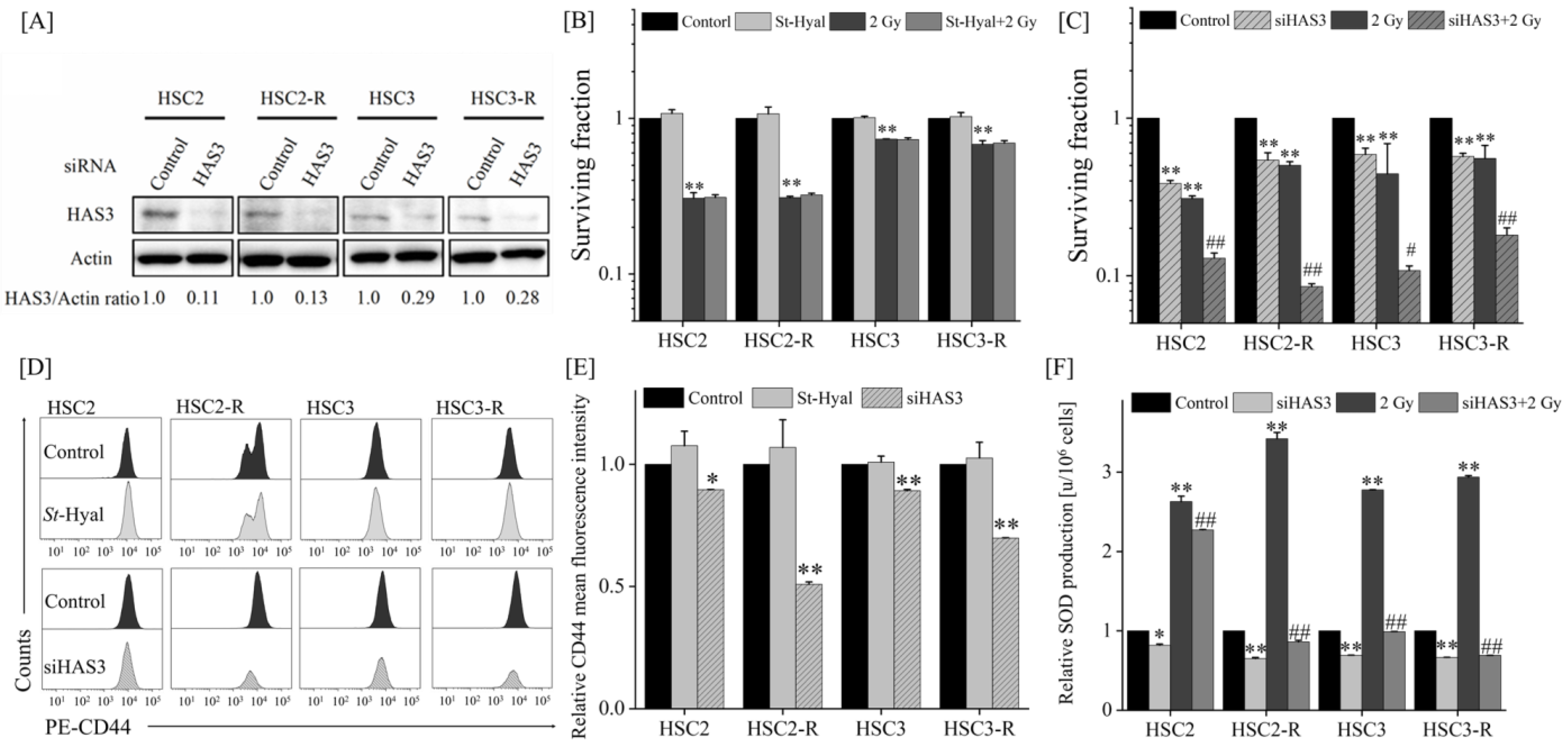 Cells 11 03780 g004 Cells 11 03780 g004