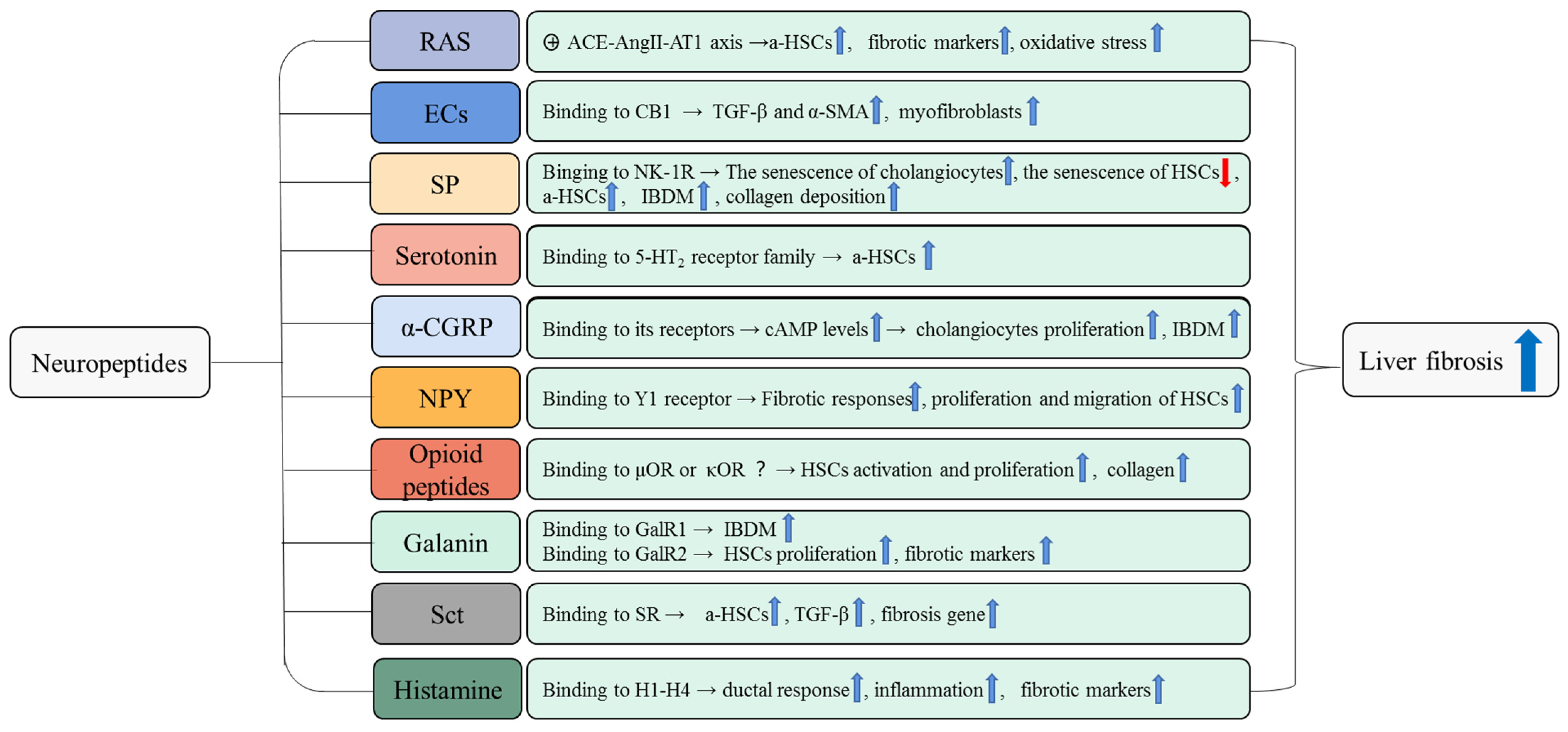 Cells 11 03783 g002 Cells 11 03783 g002
