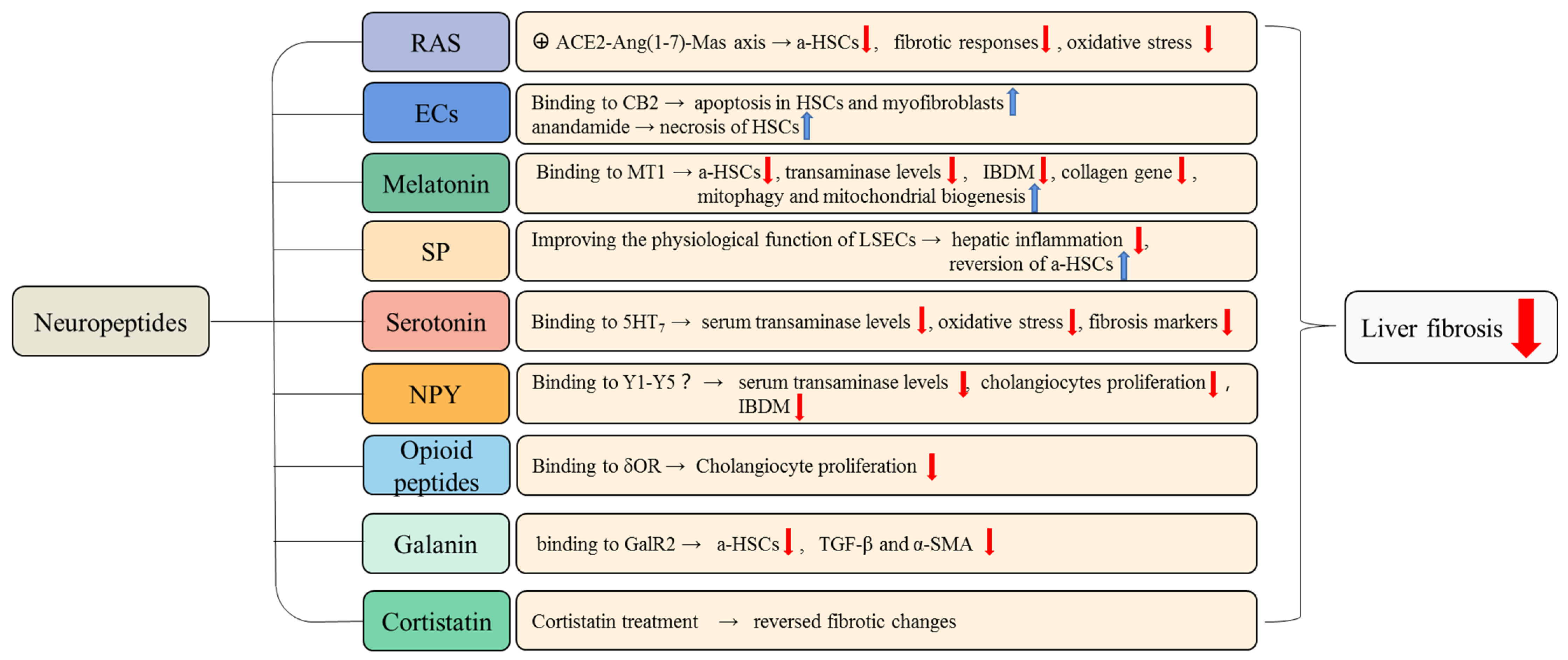 Cells 11 03783 g003 Cells 11 03783 g003